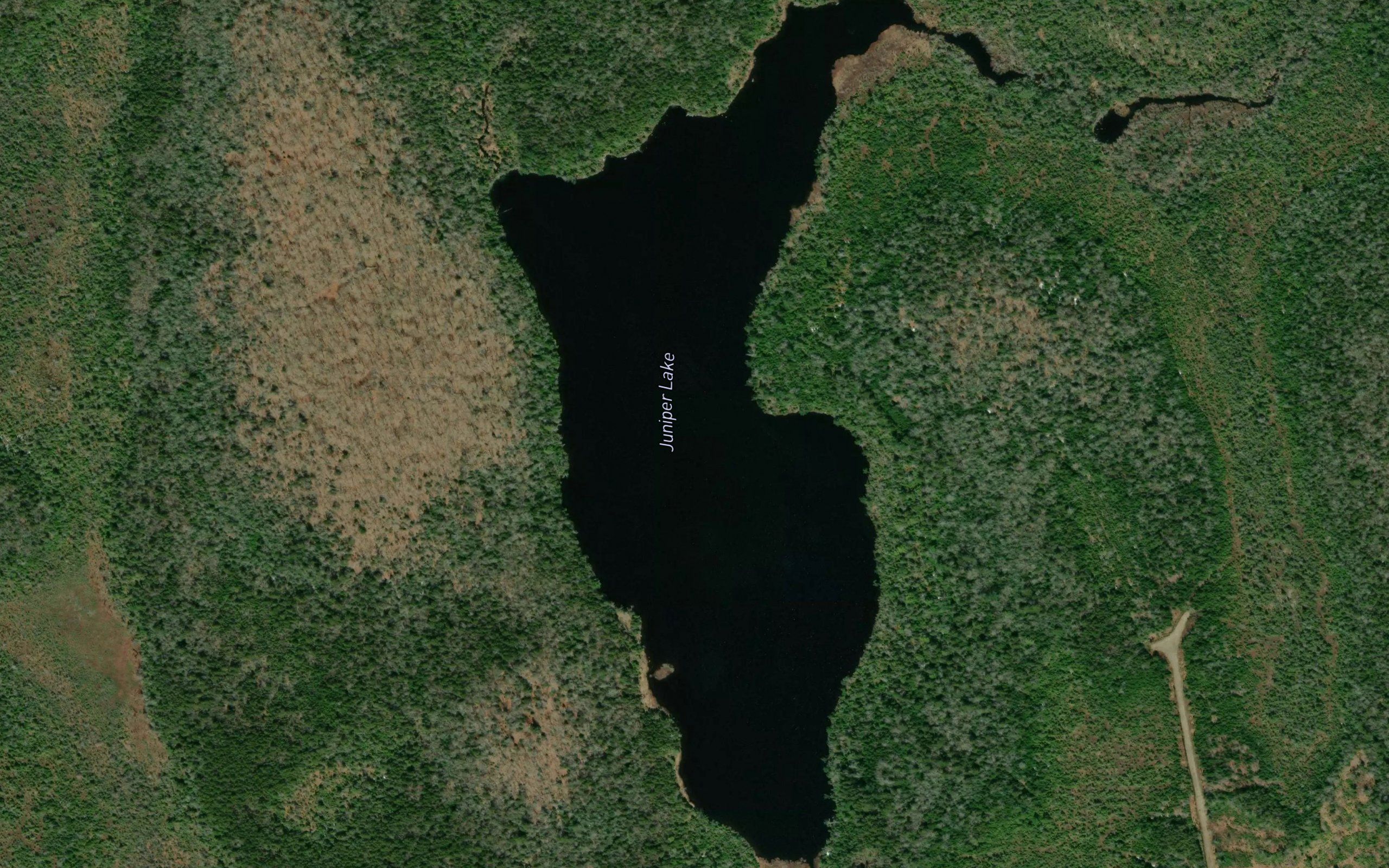 Juniper Lake
