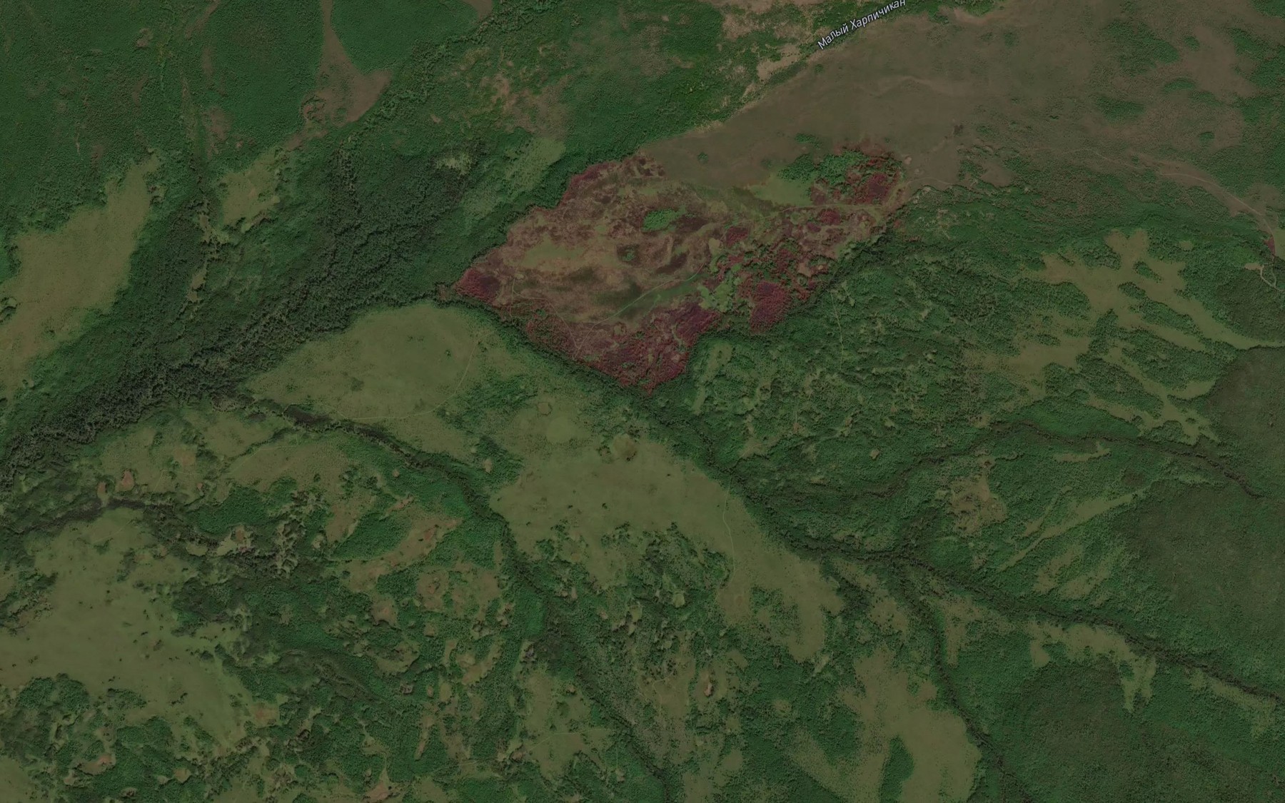 Satellite map of the Gryaznyy