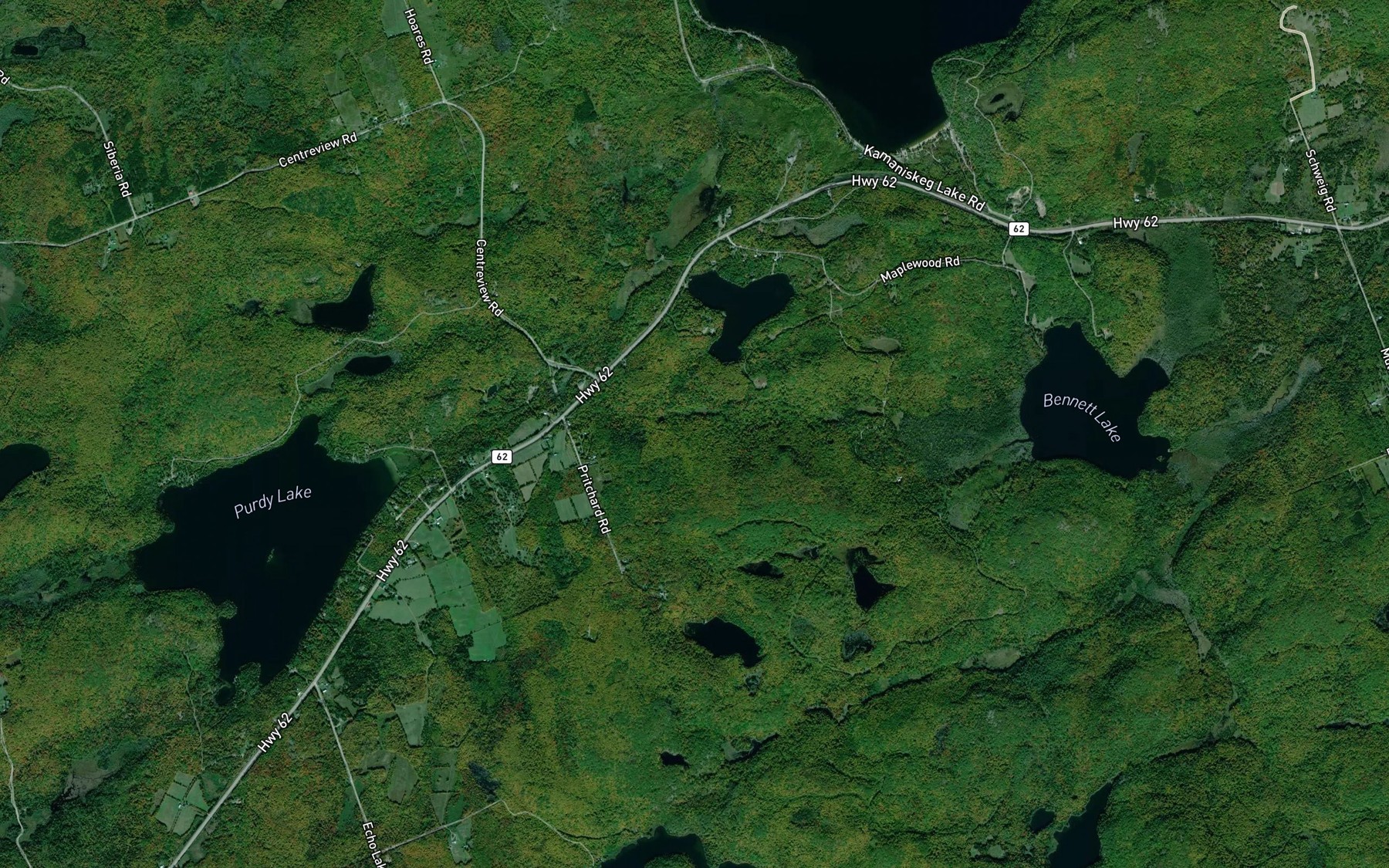 Satellite map of the Meadow Pond