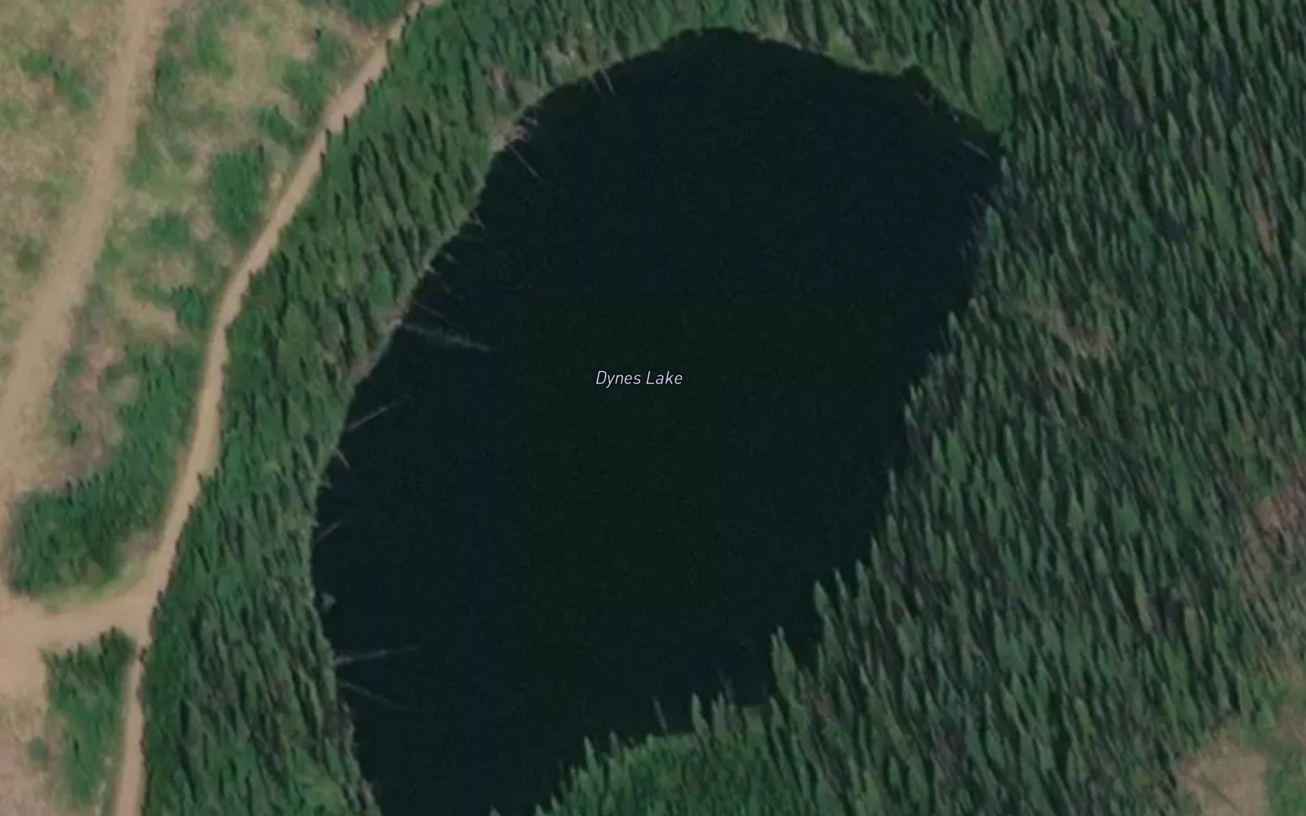 Dynes Lake