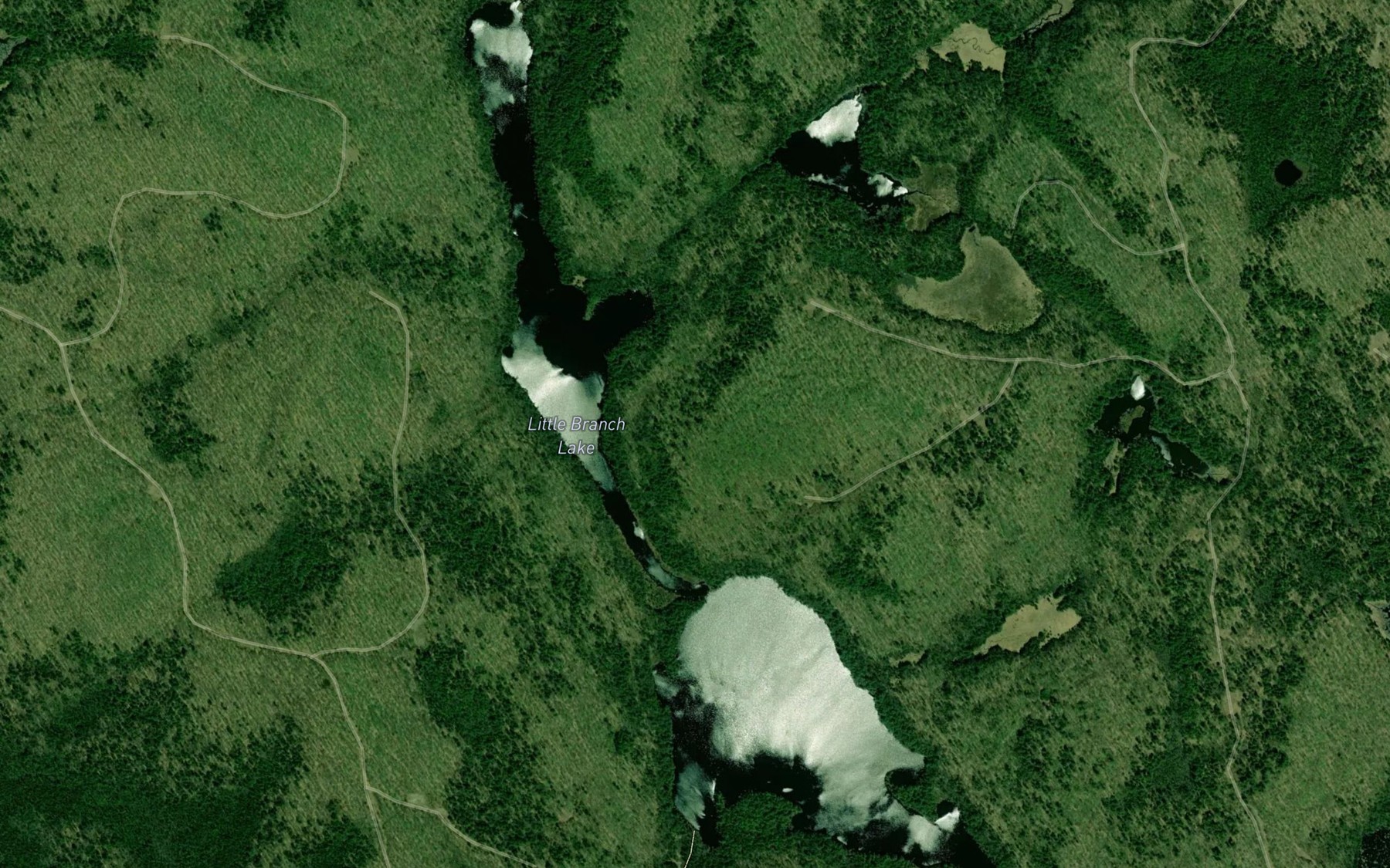 Satellite map of the Little Branch Lake