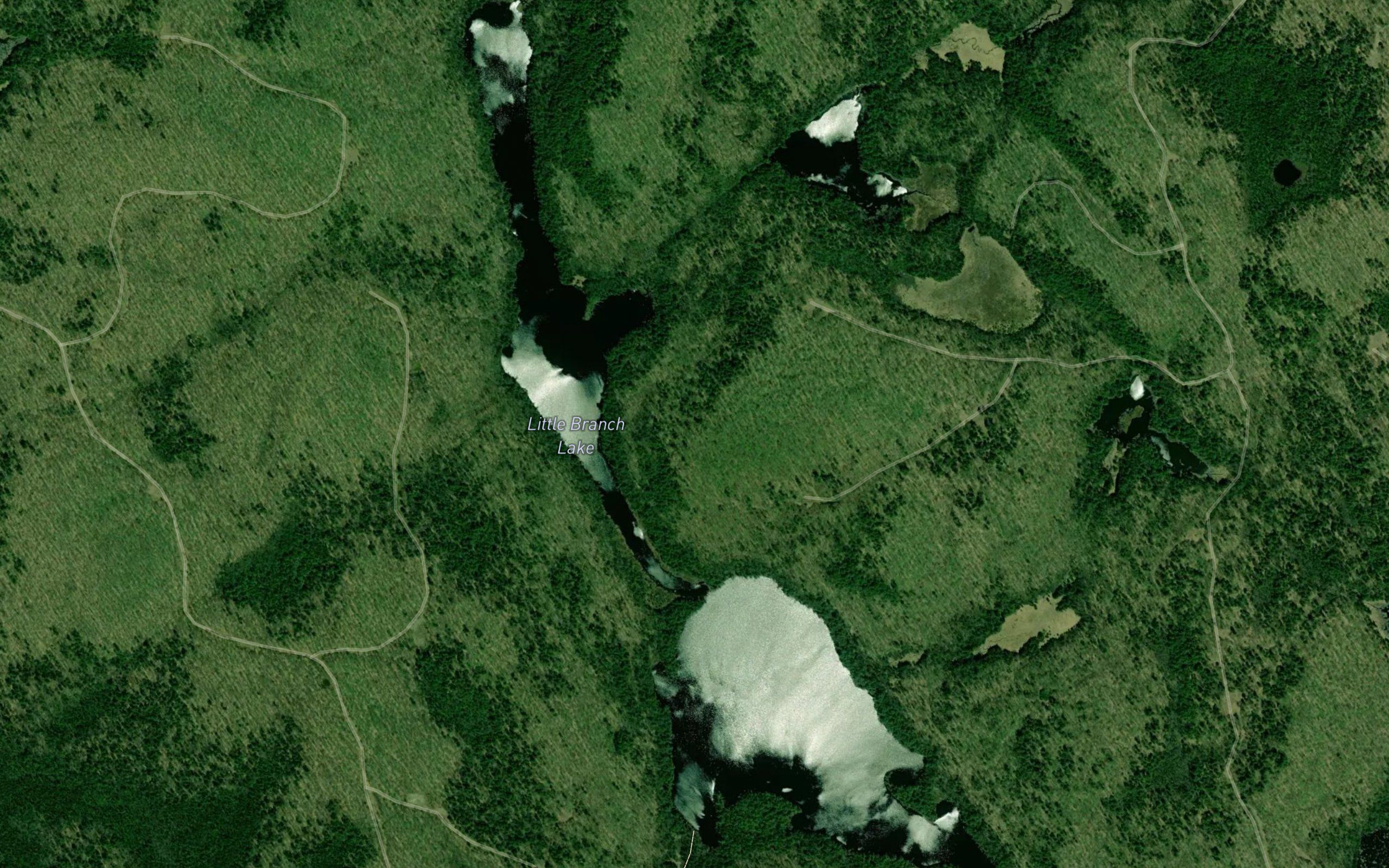 Little Branch Lake