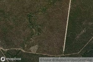 Washpool Creek