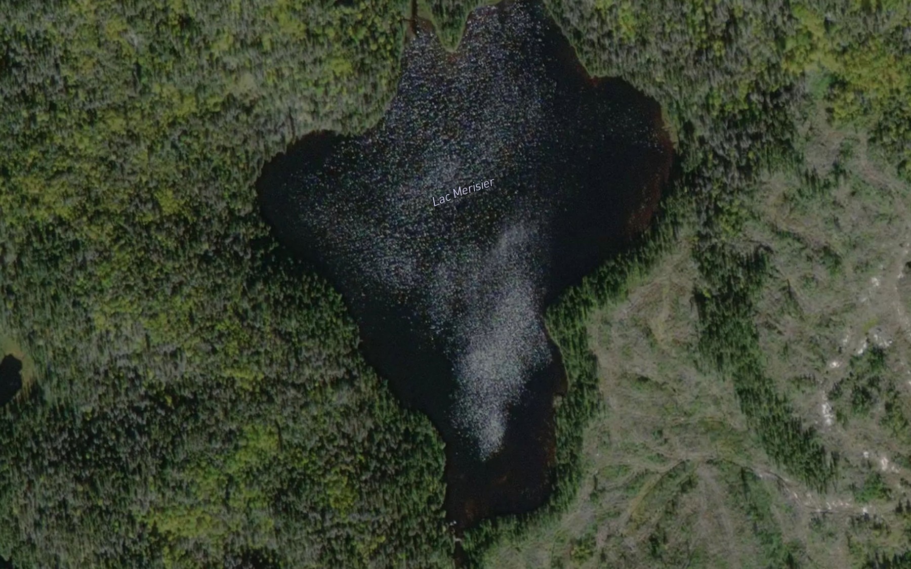 Satellite map of the Lac au Foin