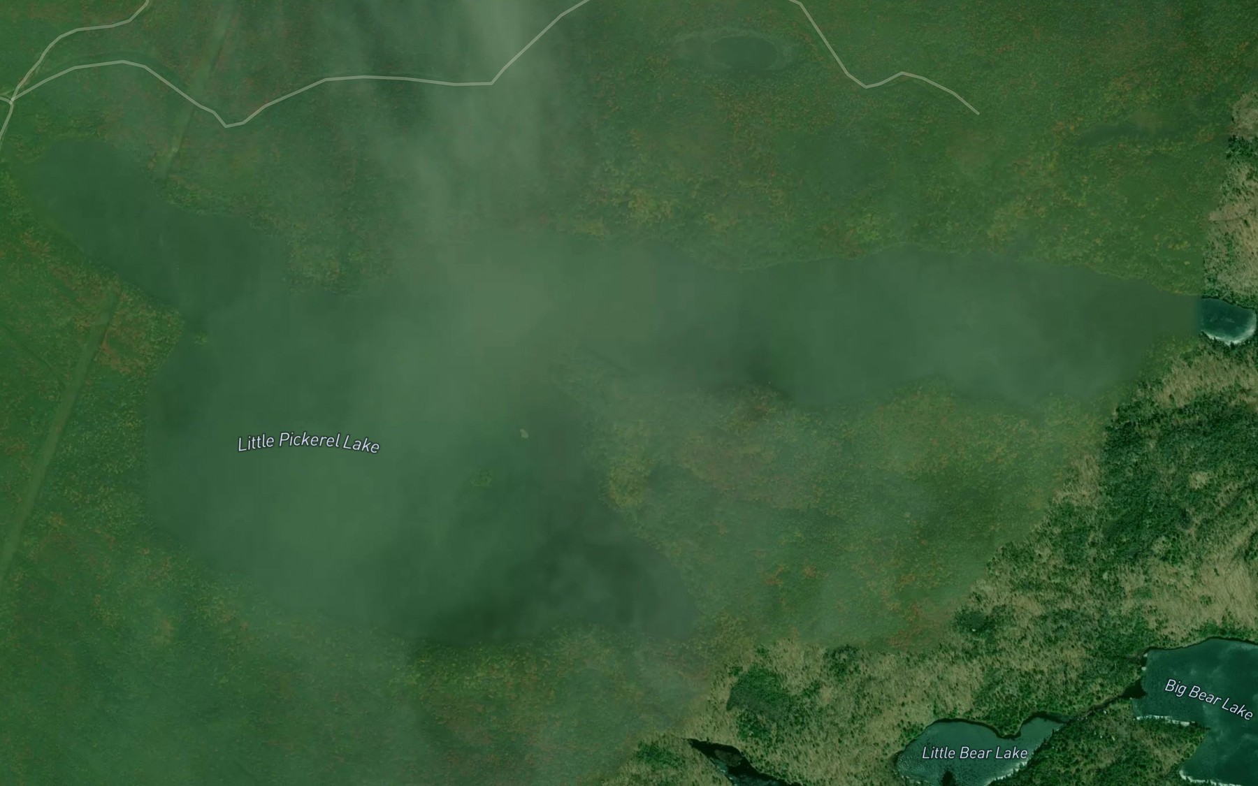 Satellite map of the Little Pickerel Lake