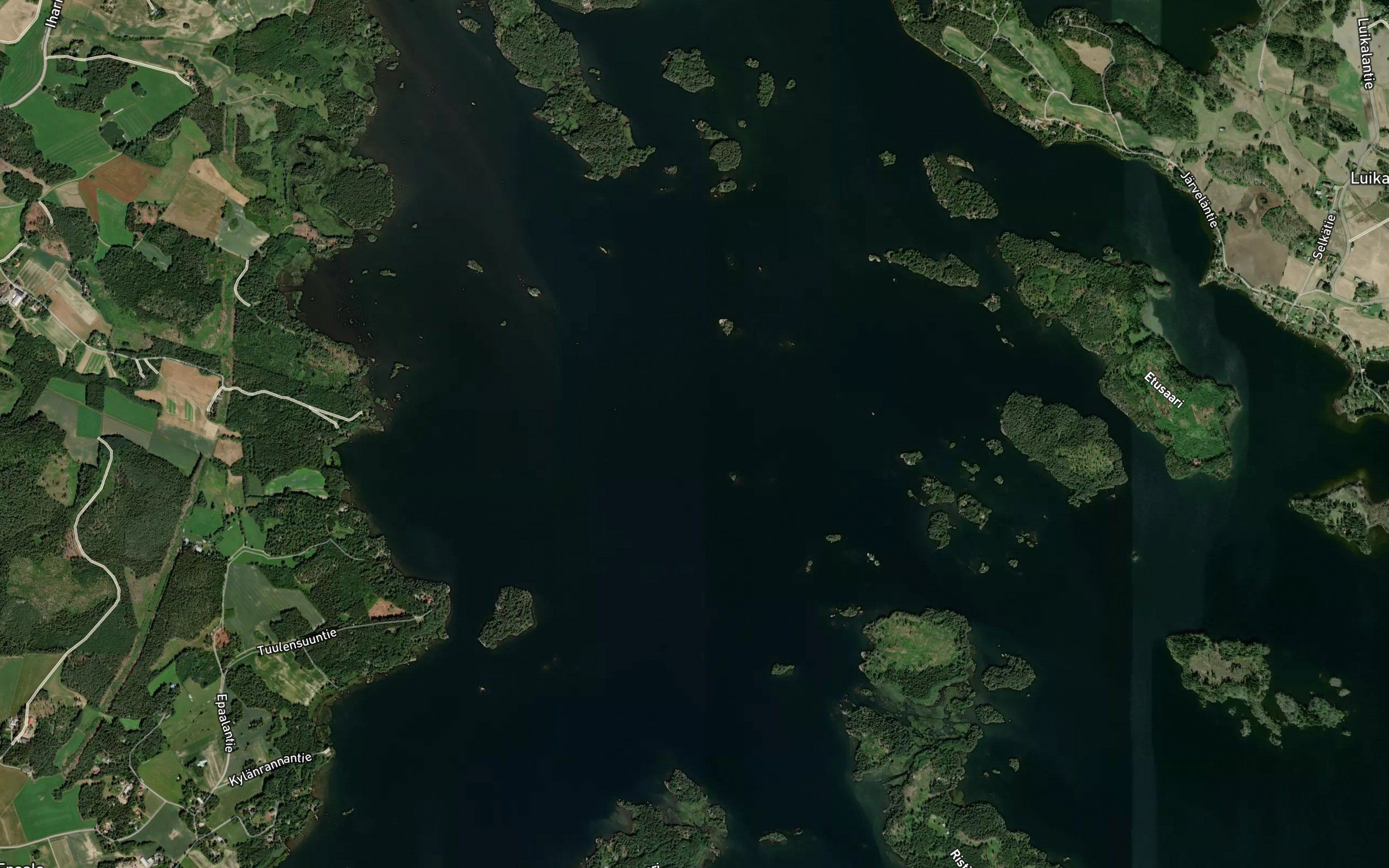 Kelppianselka