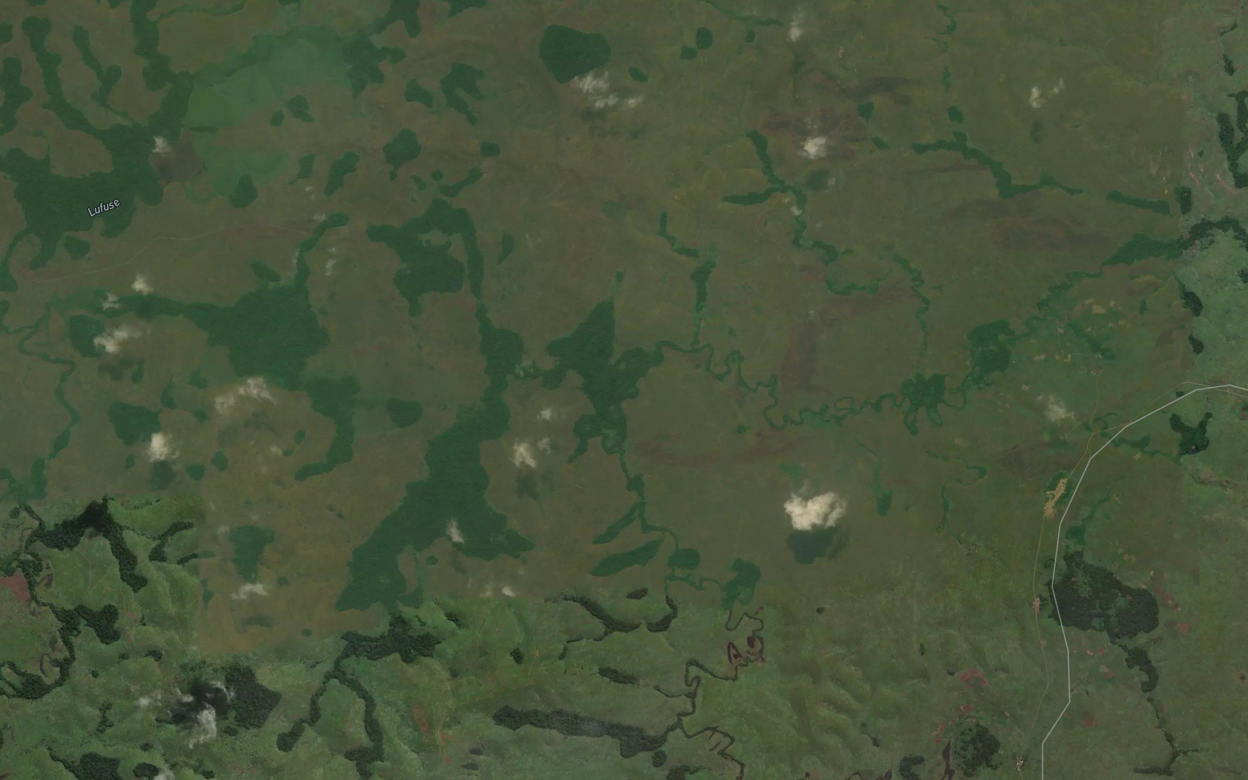 Ngongola