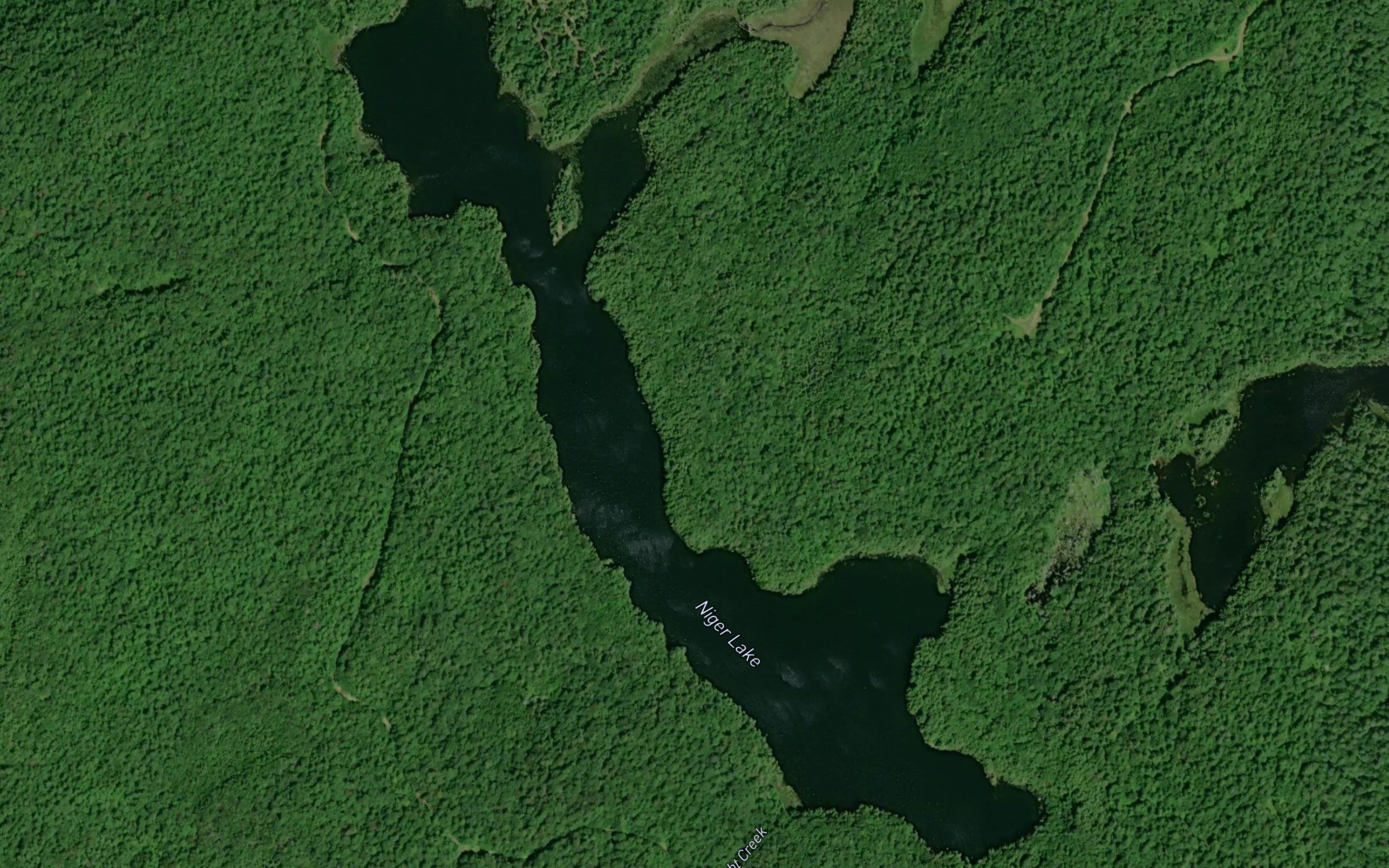 Niger Lake