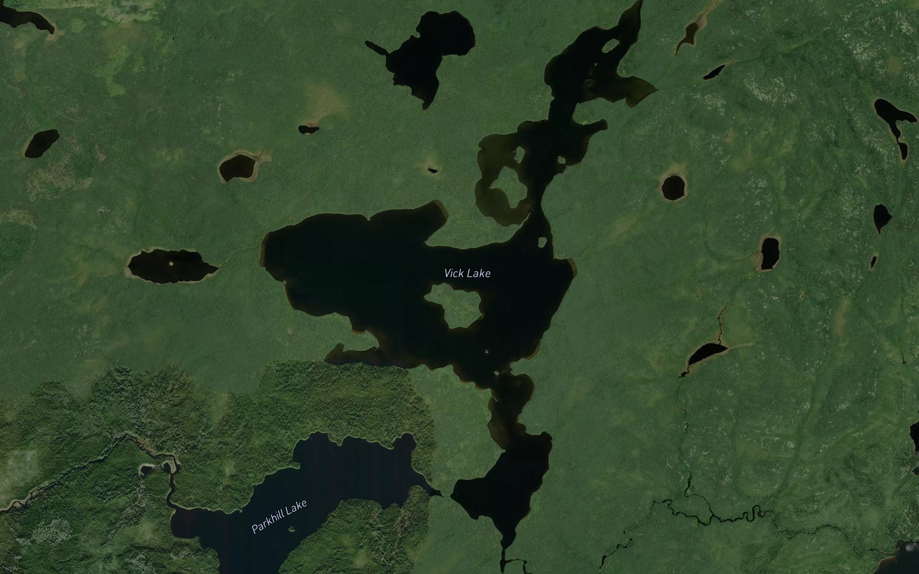Satellite map of the Vick Lake