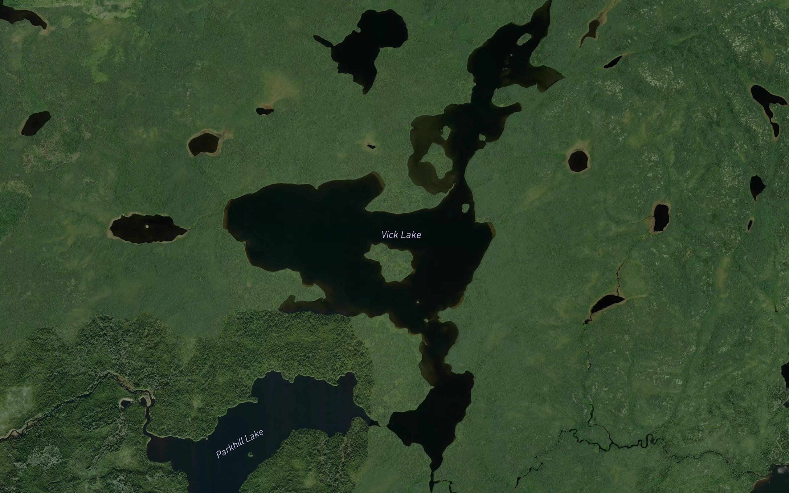 Vick Lake