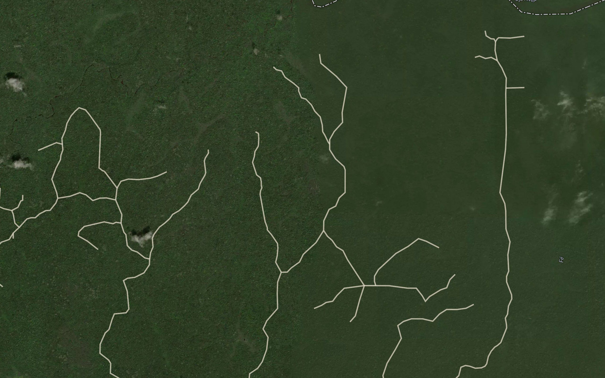 Mokok