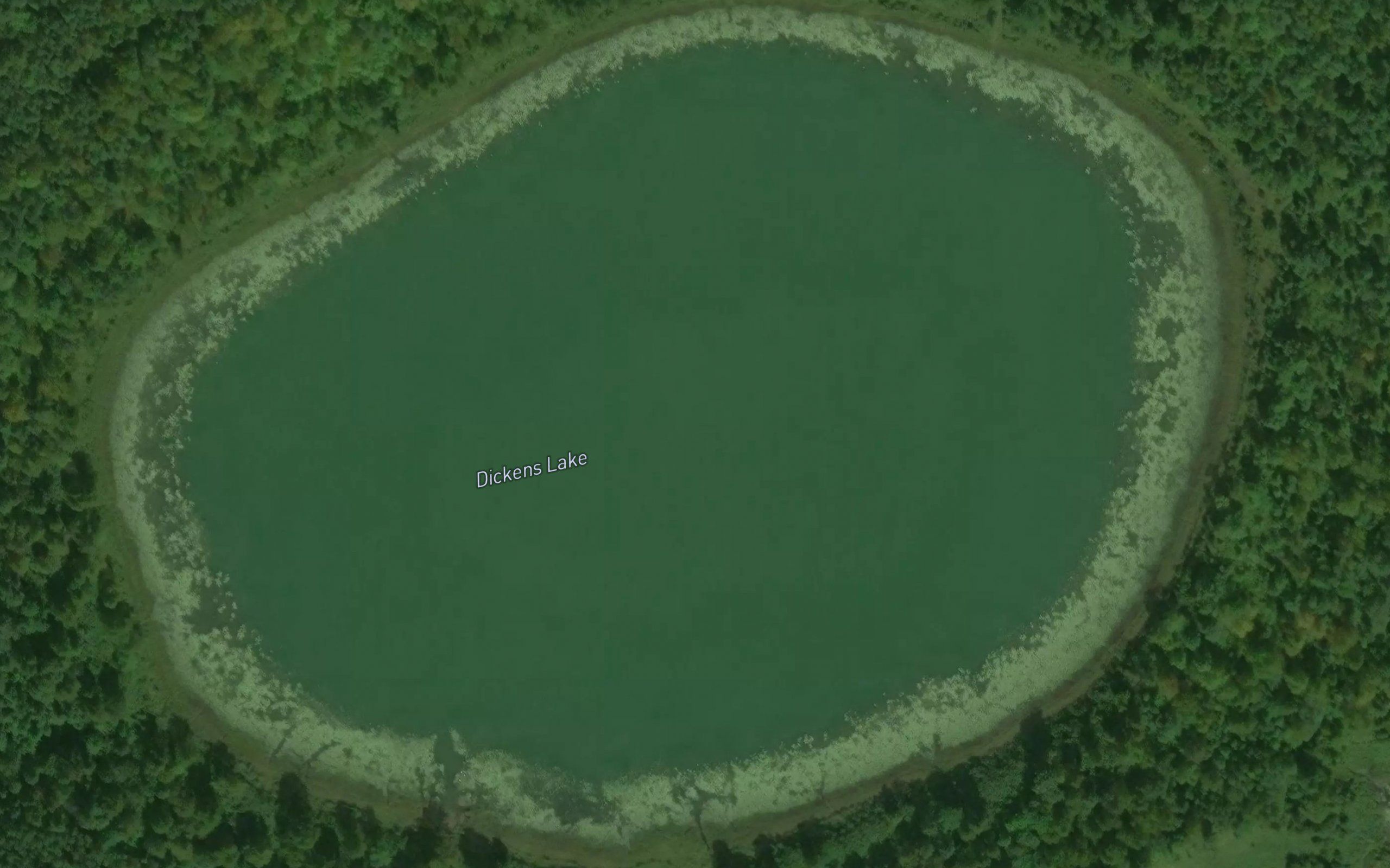 Dickens Lake