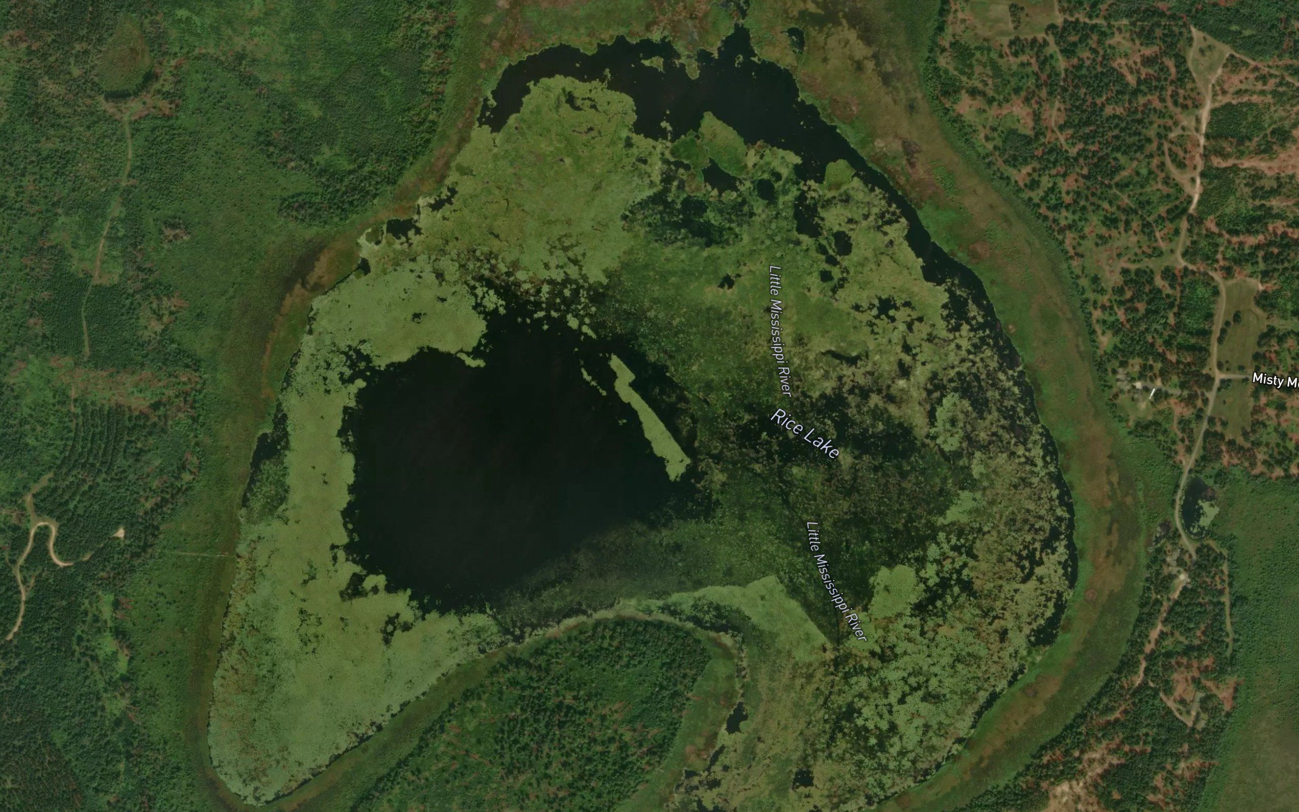 Rice Lake