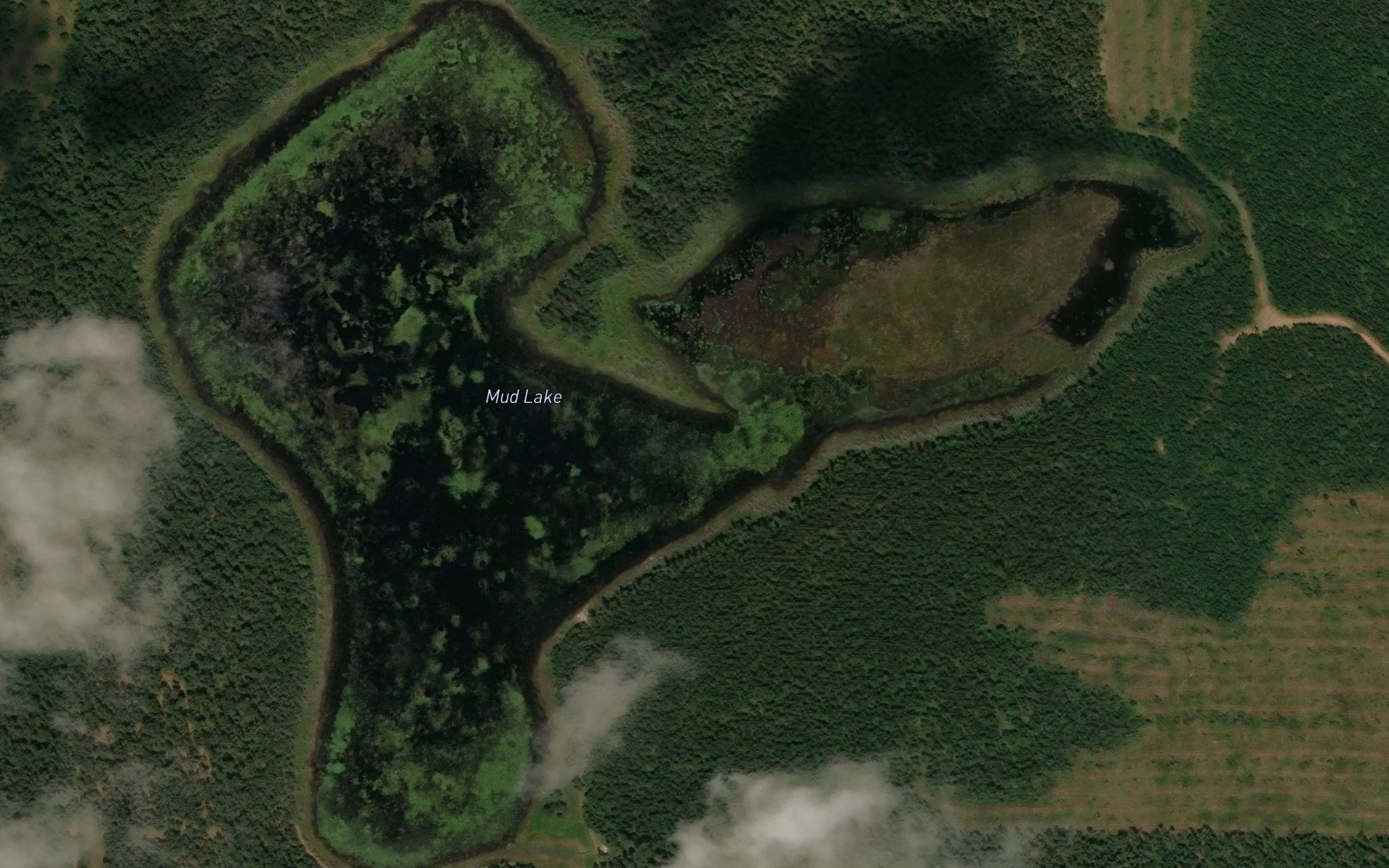 Mud Lake