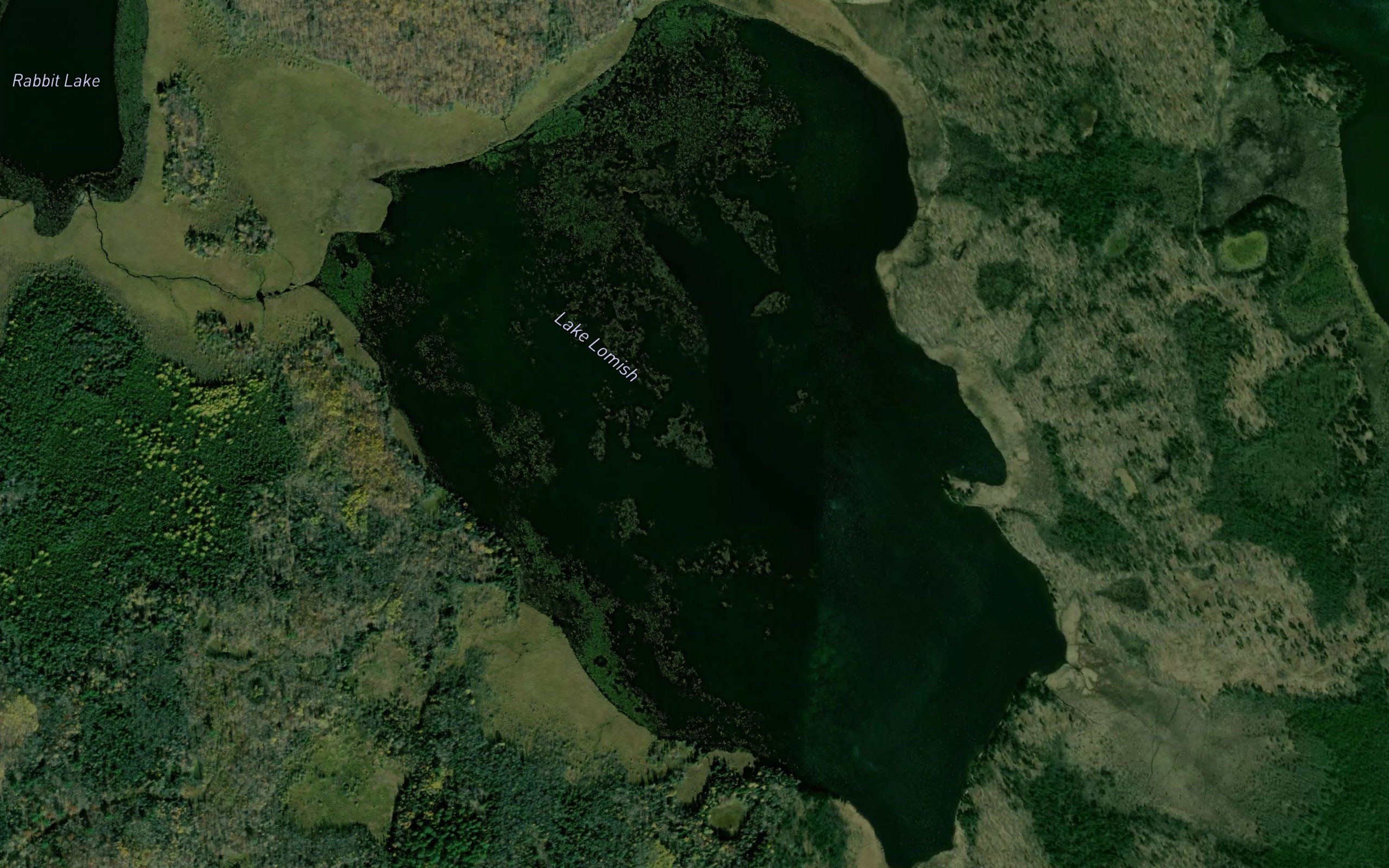 Lake Lomish