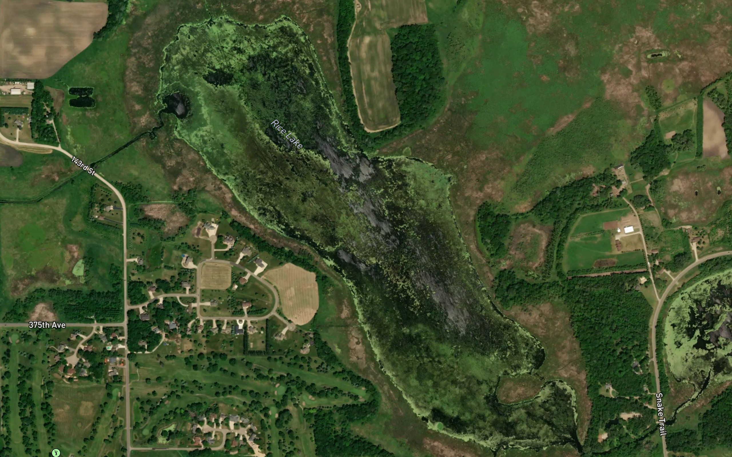 Rice Lake