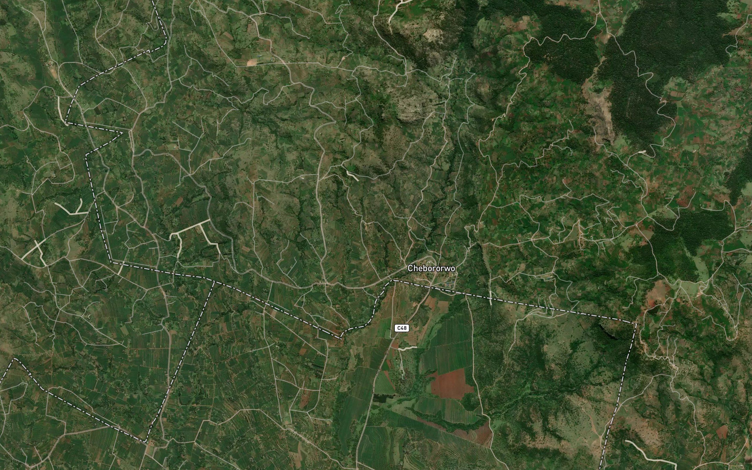 Chebororwa