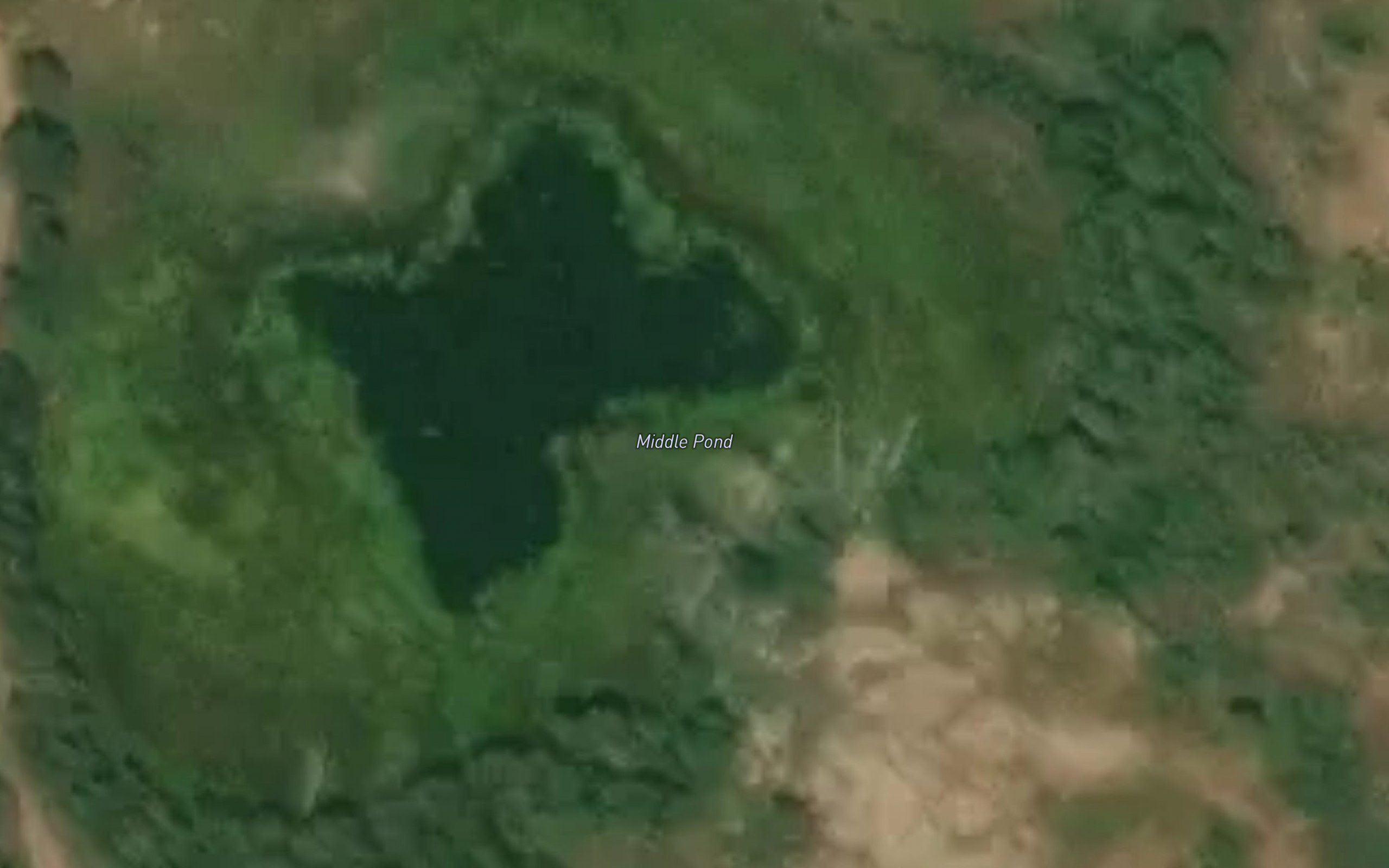 Middle Pond
