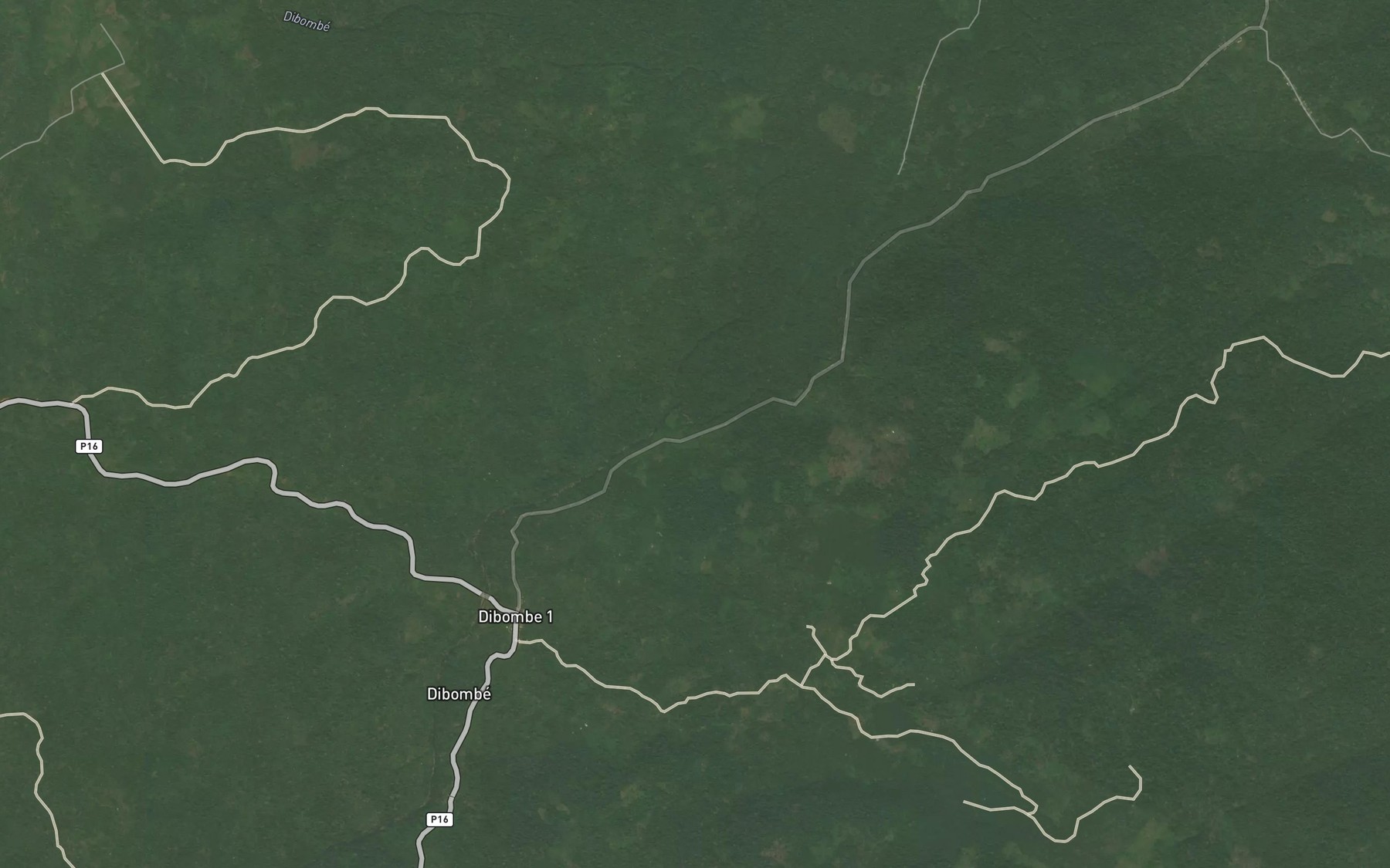 Satellite map of the Ntingue