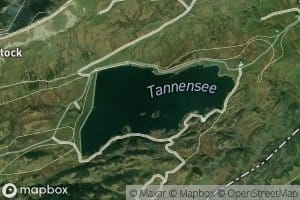 Tannensee