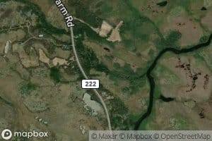Juniper Brook