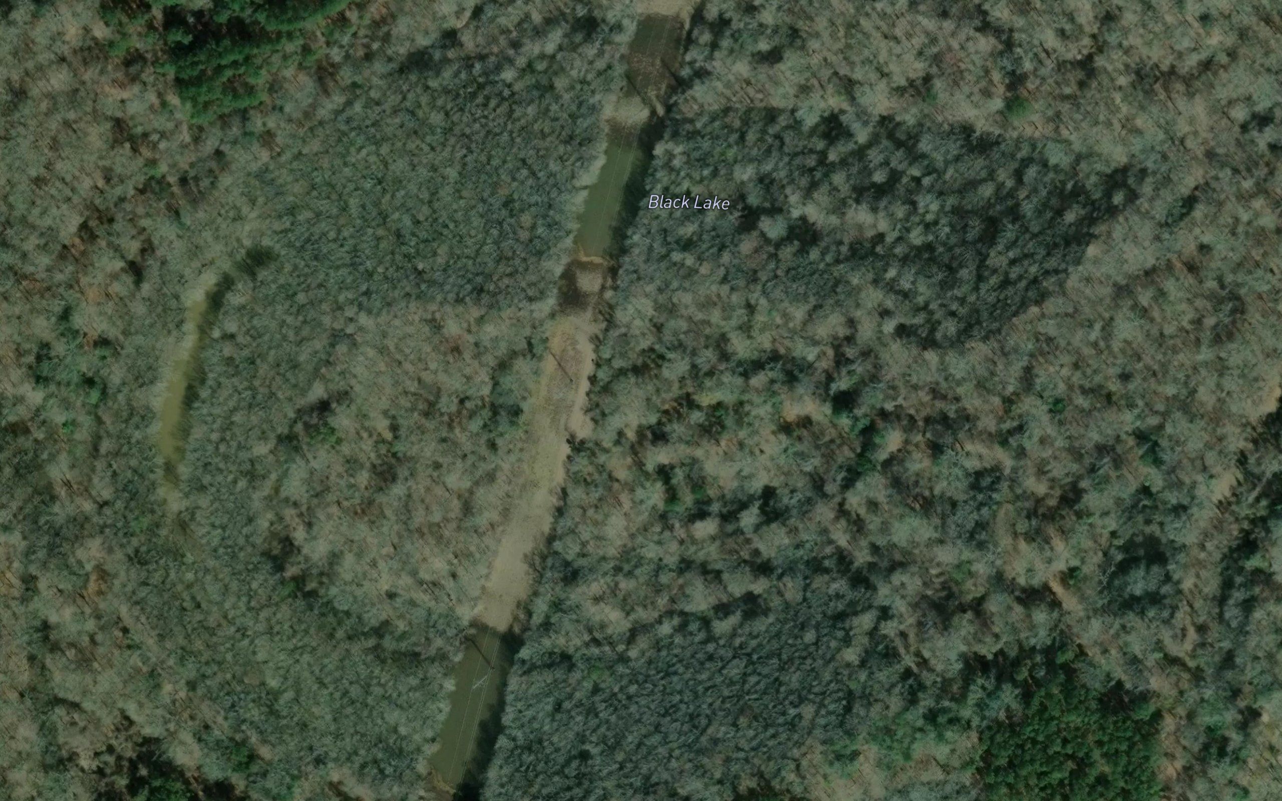 Black Lake