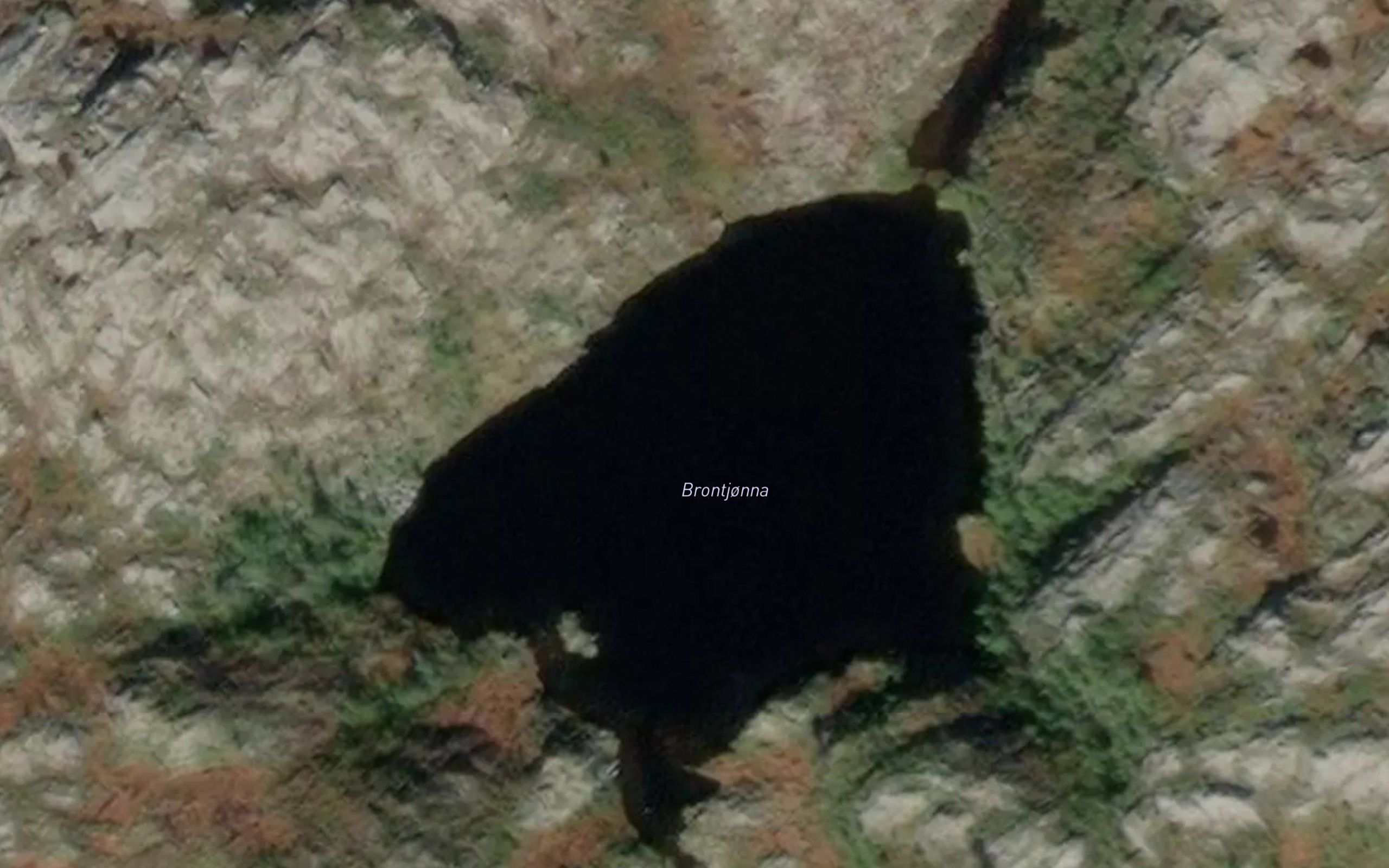 Bruntjorna