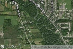 Wagner and Pink Drain