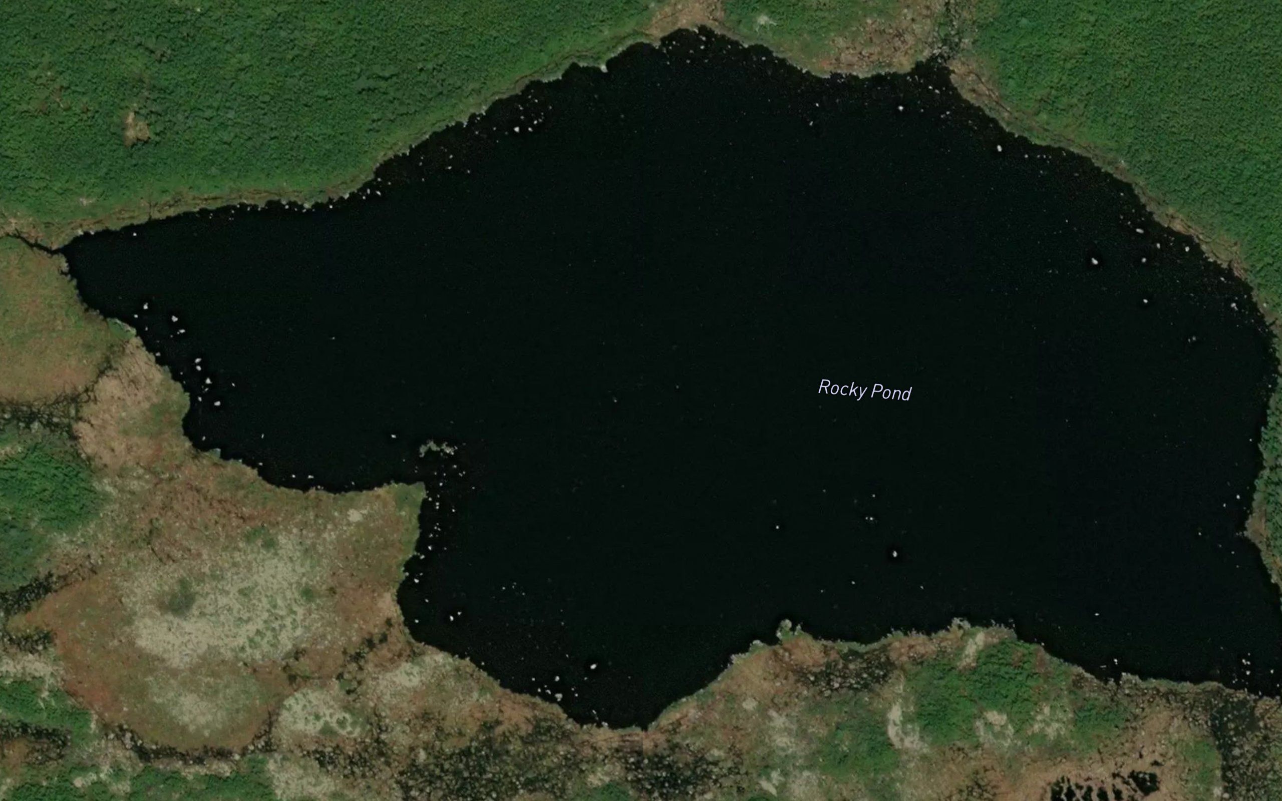 Rocky Pond