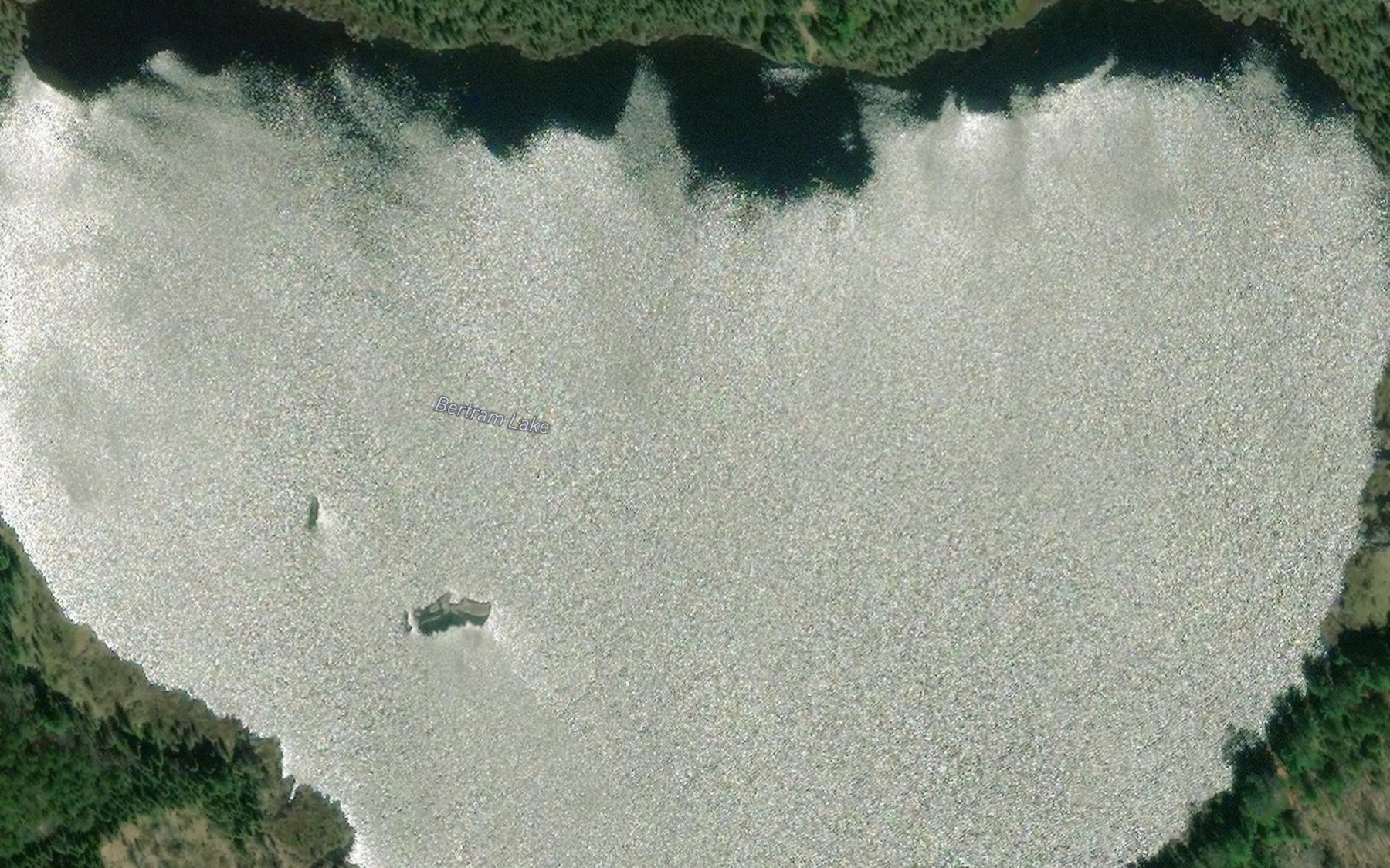 Satellite map of the Bertram Lake