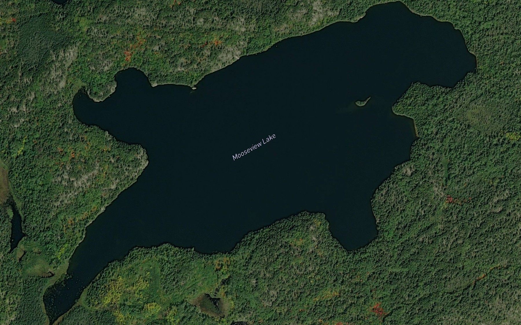 Satellite map of the Mooseview Lake