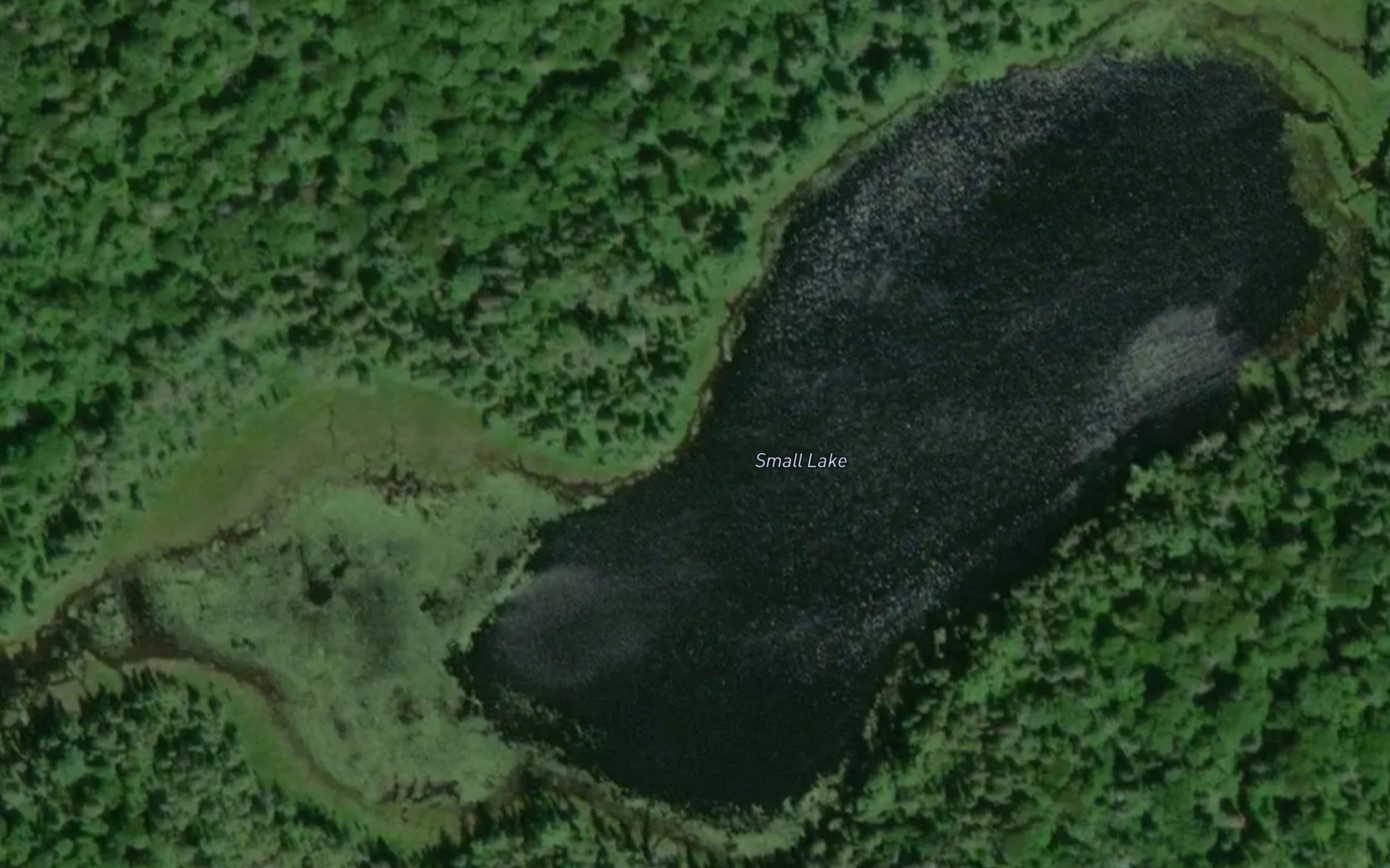 Satellite map of the Small Lake