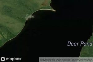 Deer Pond