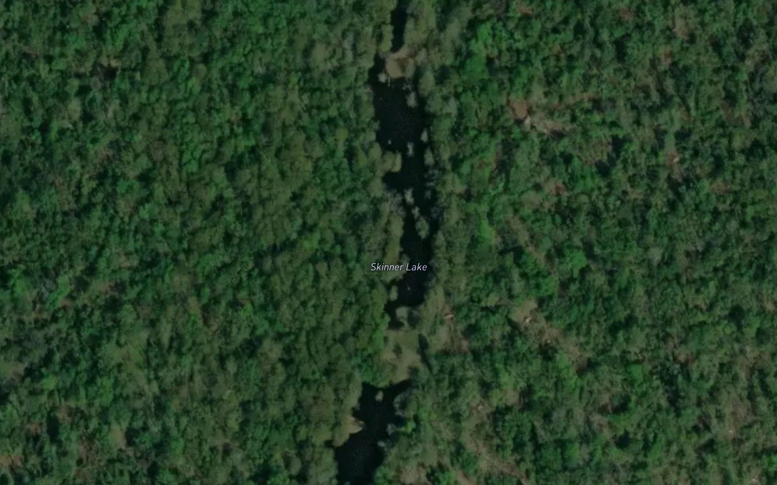Skinner Lake