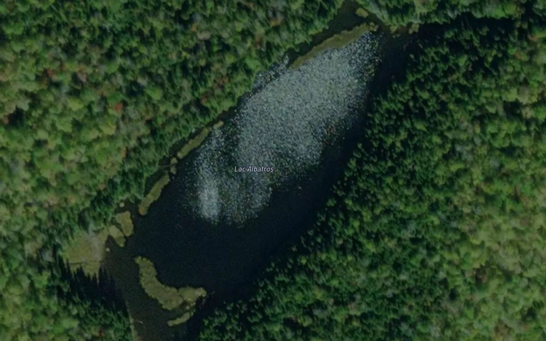 Satellite map of the Lac Albatros