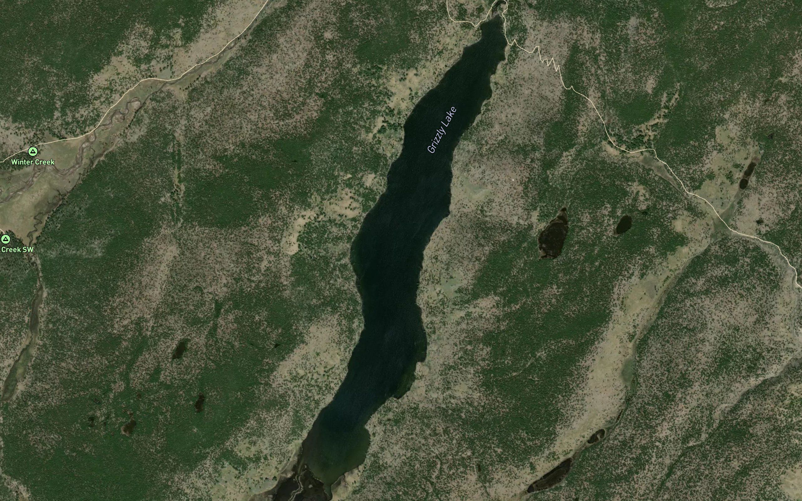 Grizzly Lake