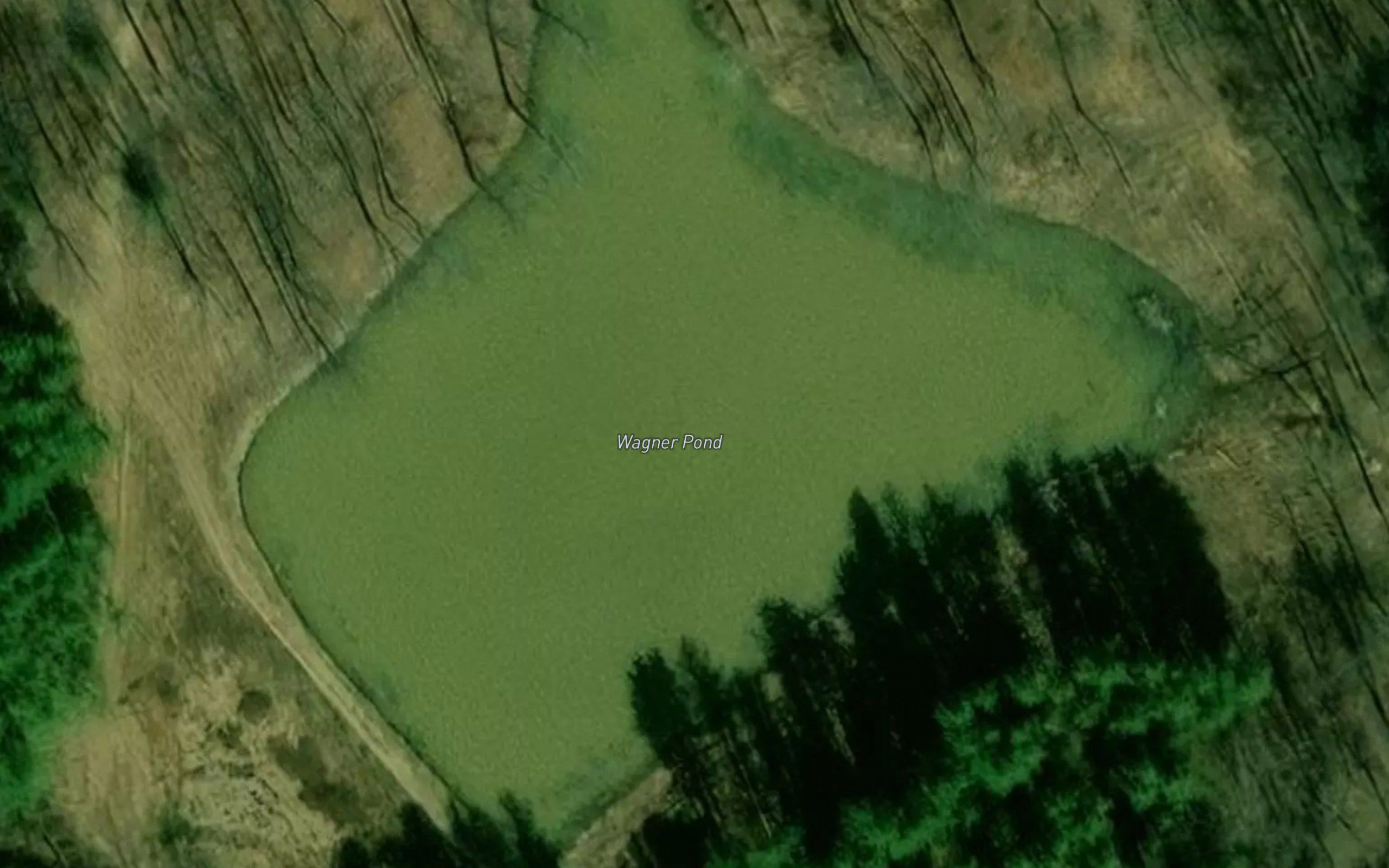 Wagner Pond