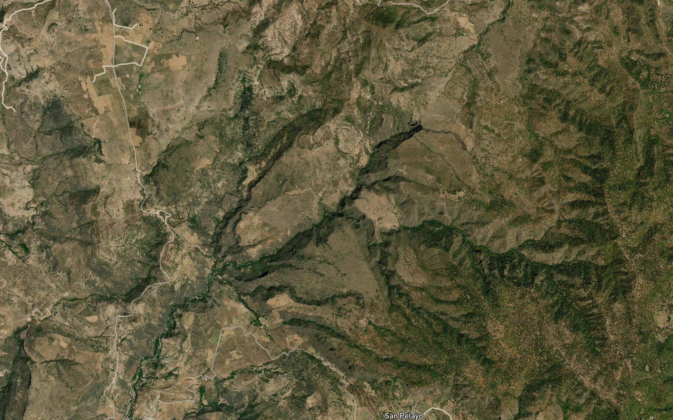 Carrizalillo