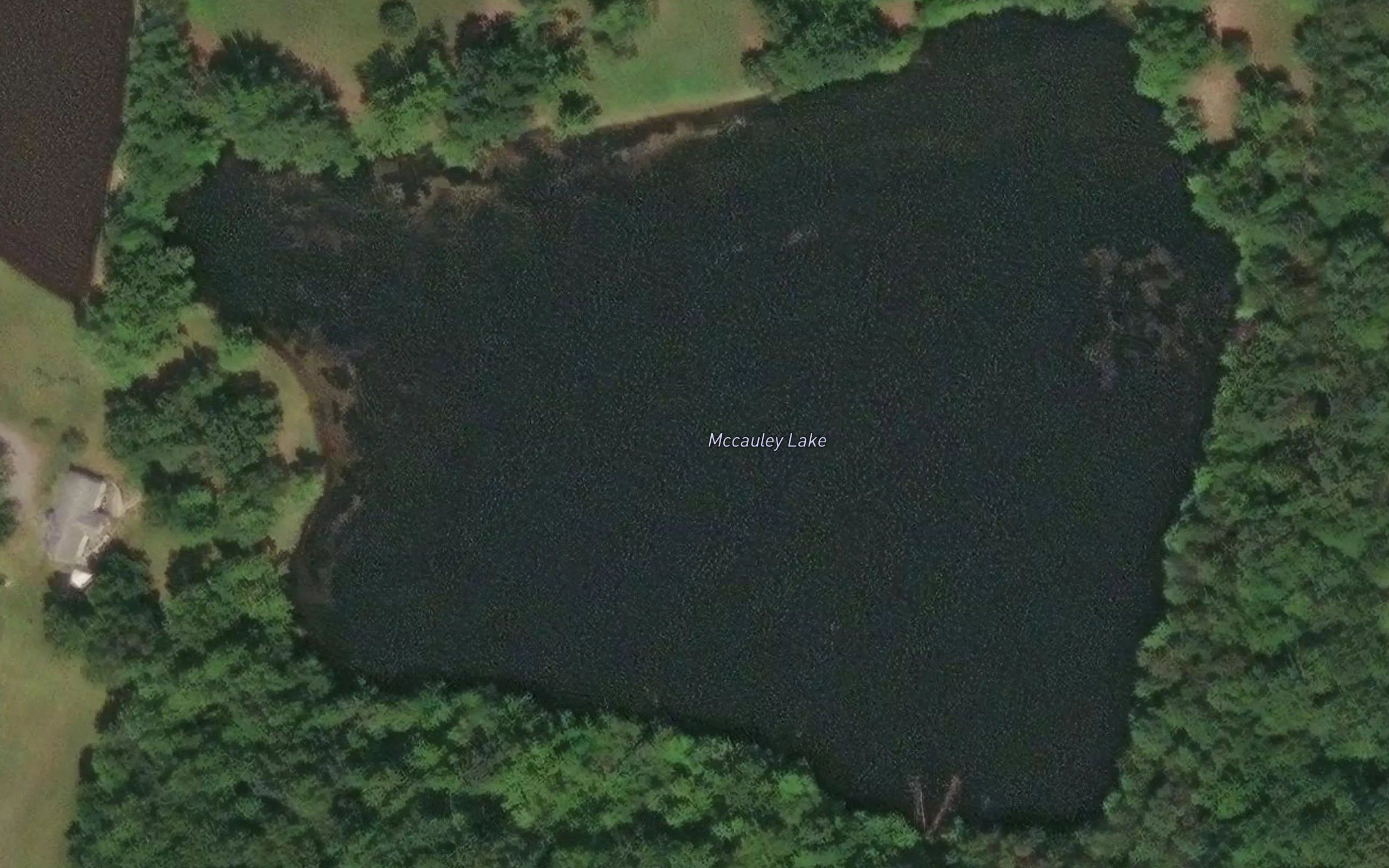 McCauley Lake