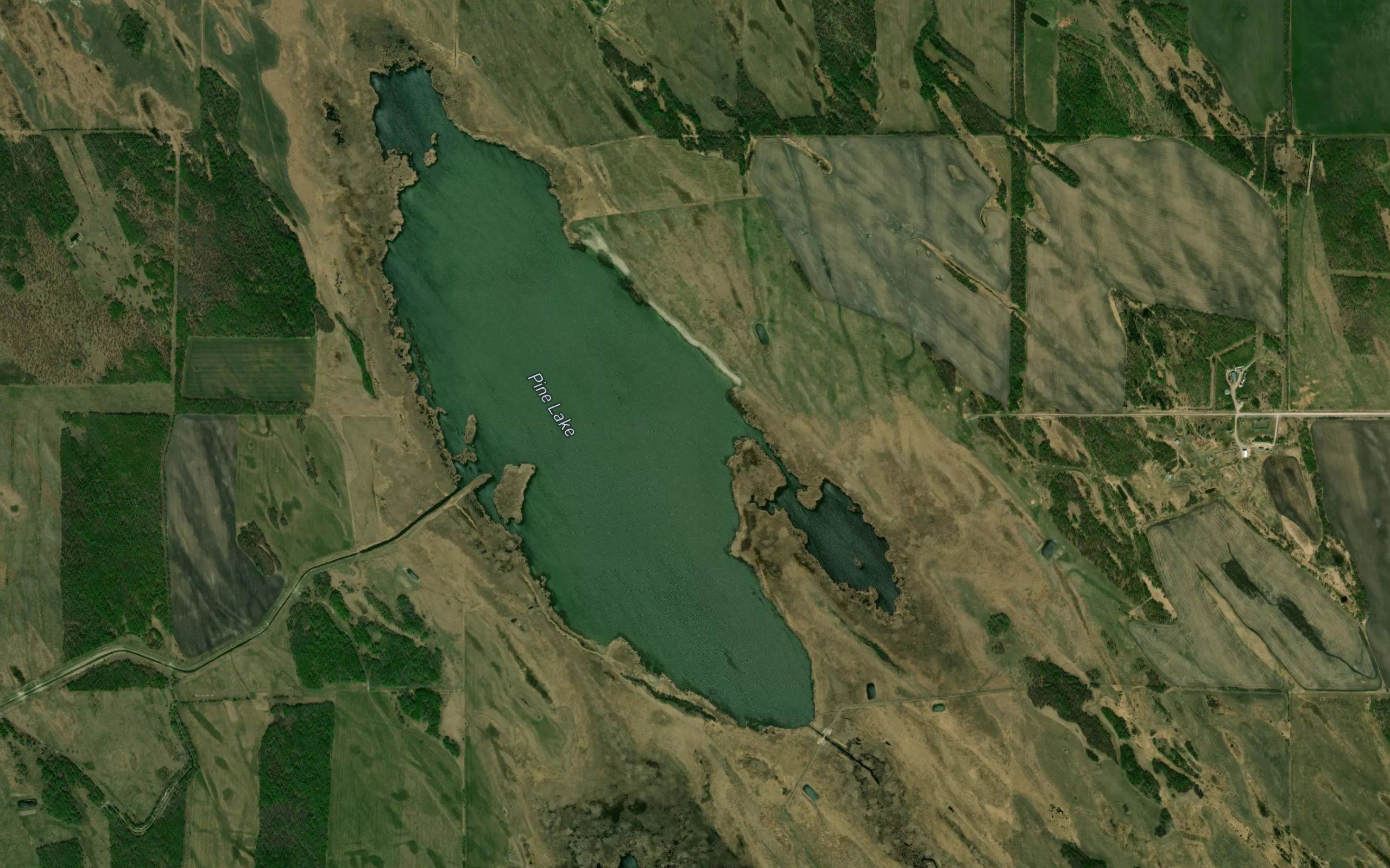 Pine Lake