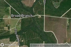 Broad Branch