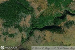 Dominic Meadow Brook