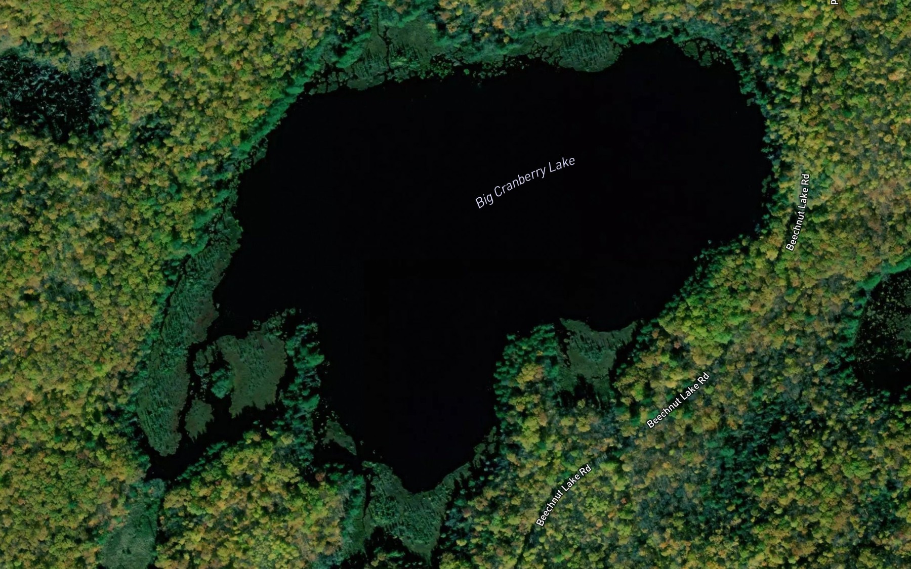 Satellite map of the Big Cranberry Lake