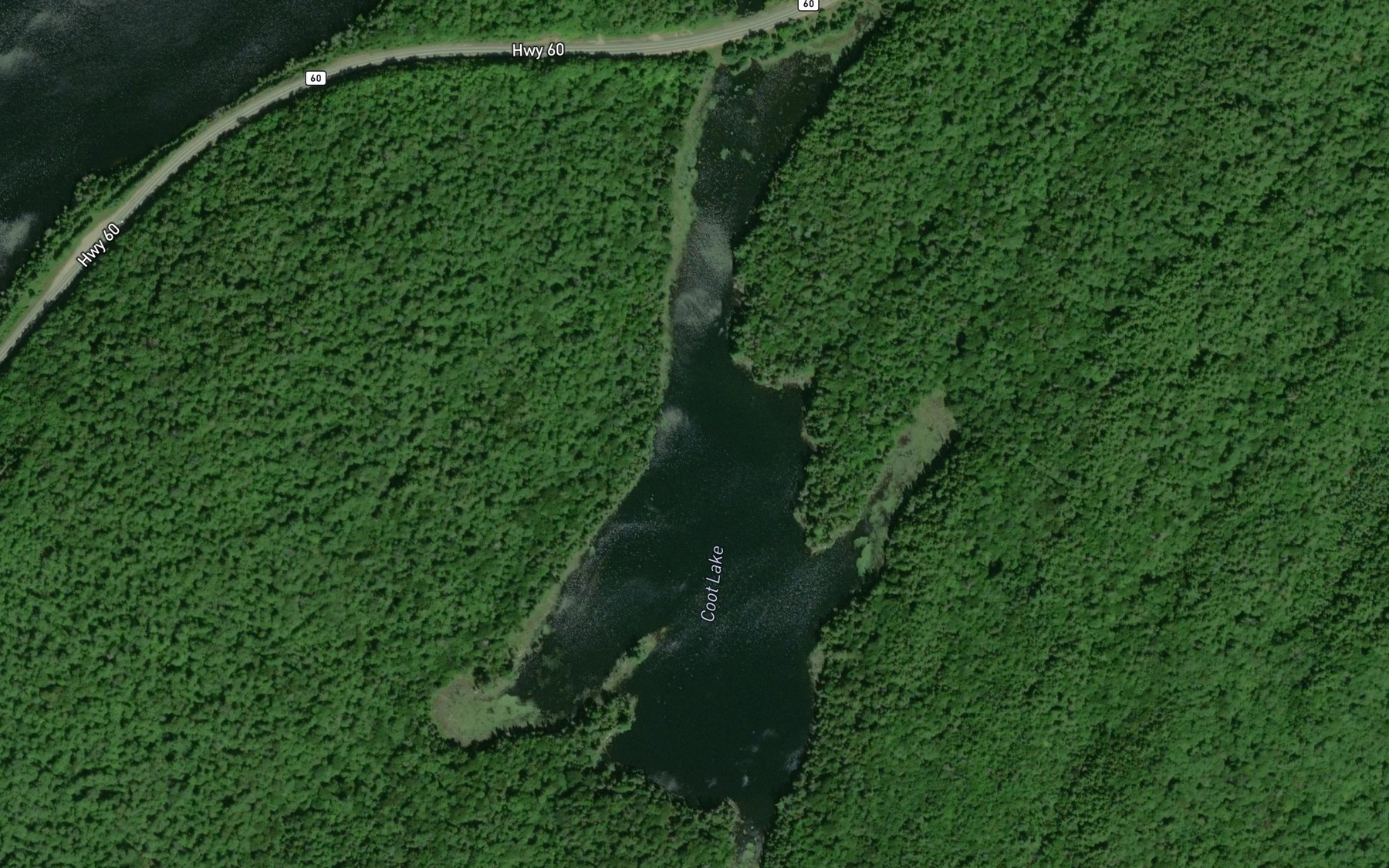 Satellite map of the Coot Lake