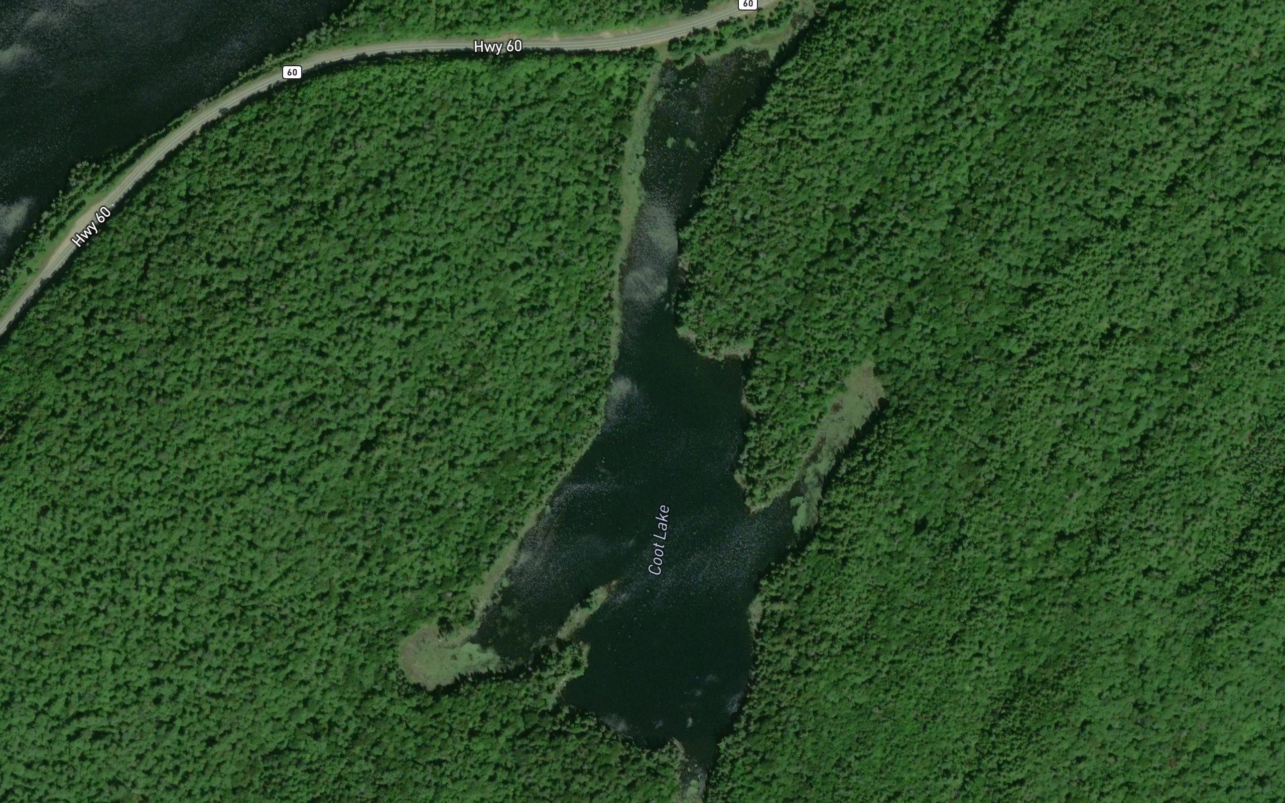 Coot Lake