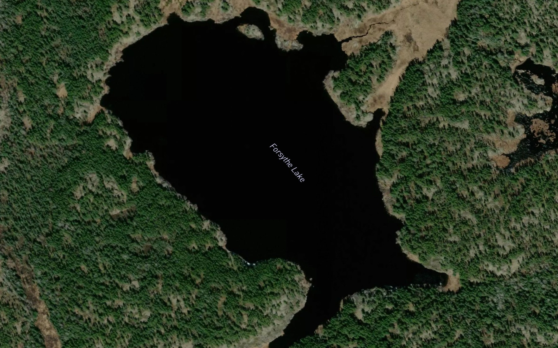 Satellite map of the Forsythe Lake