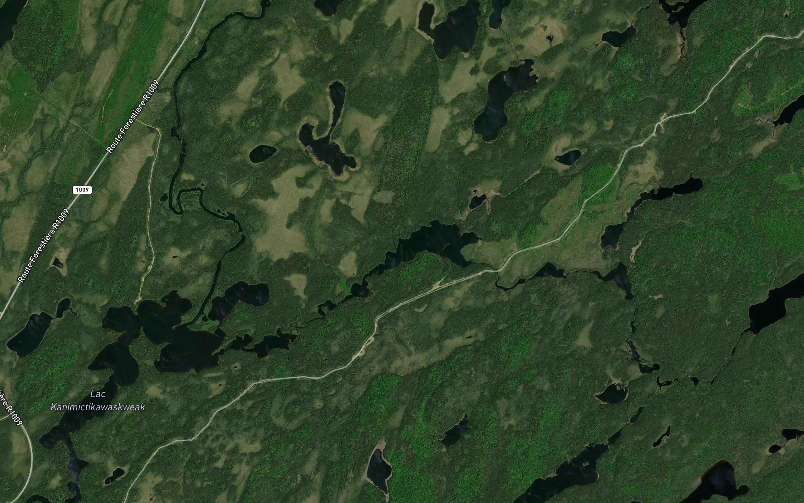 Lac Asian