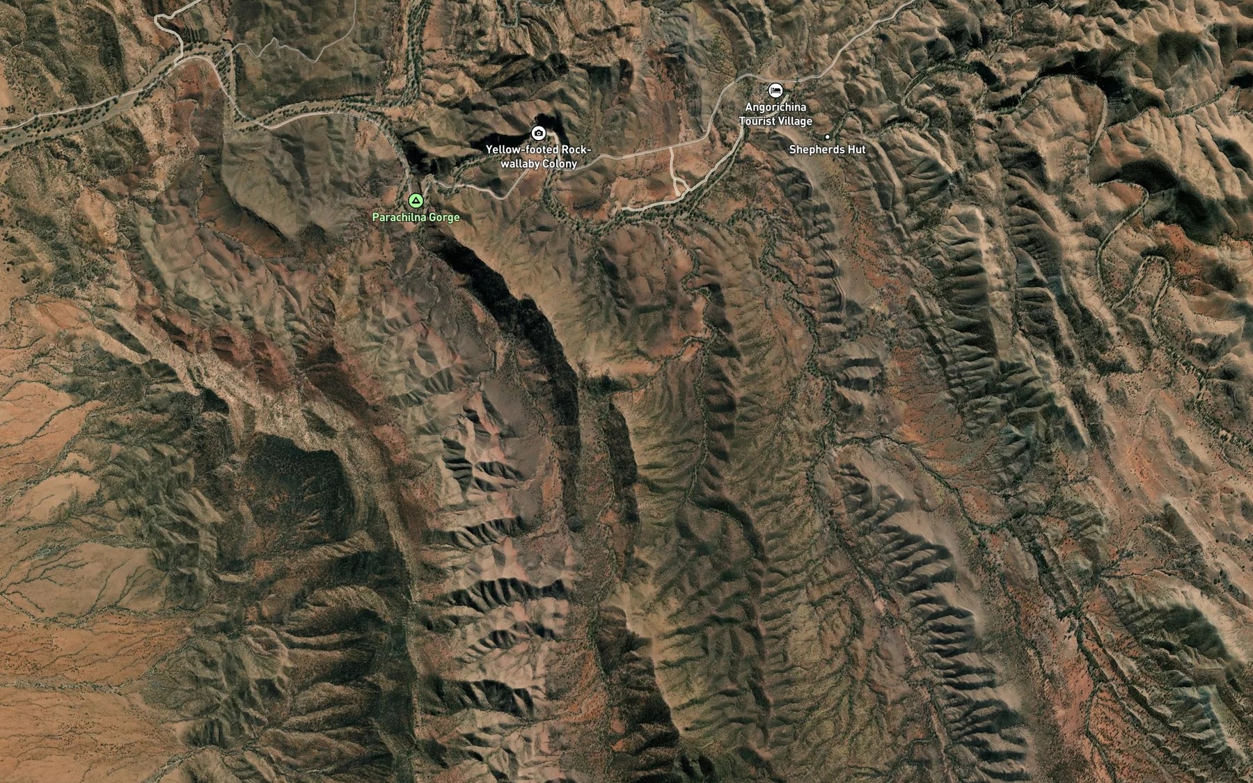 Satellite map of the Wild Dog Creek