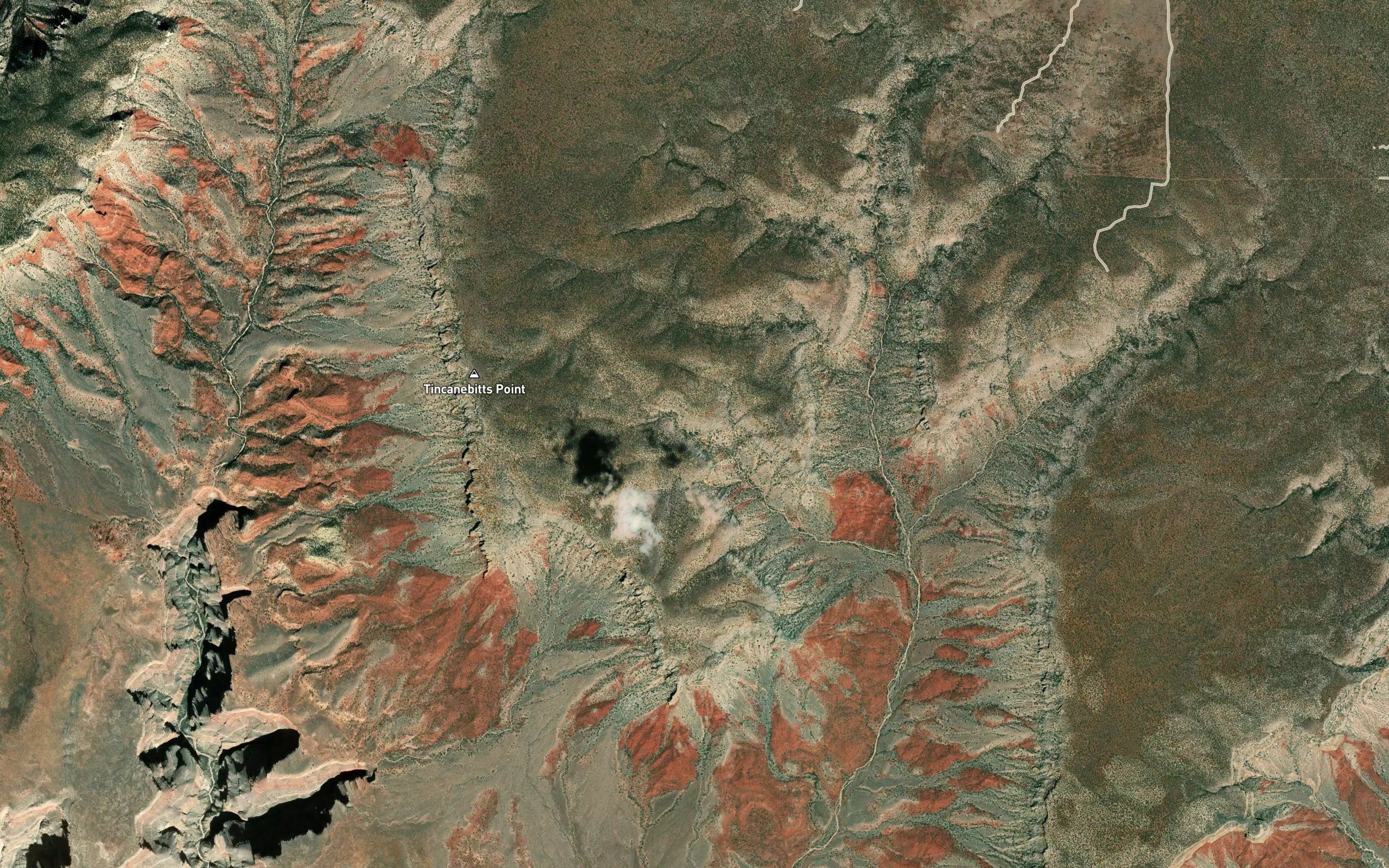 Joe Spring