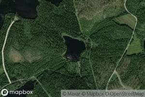 Valkealammi